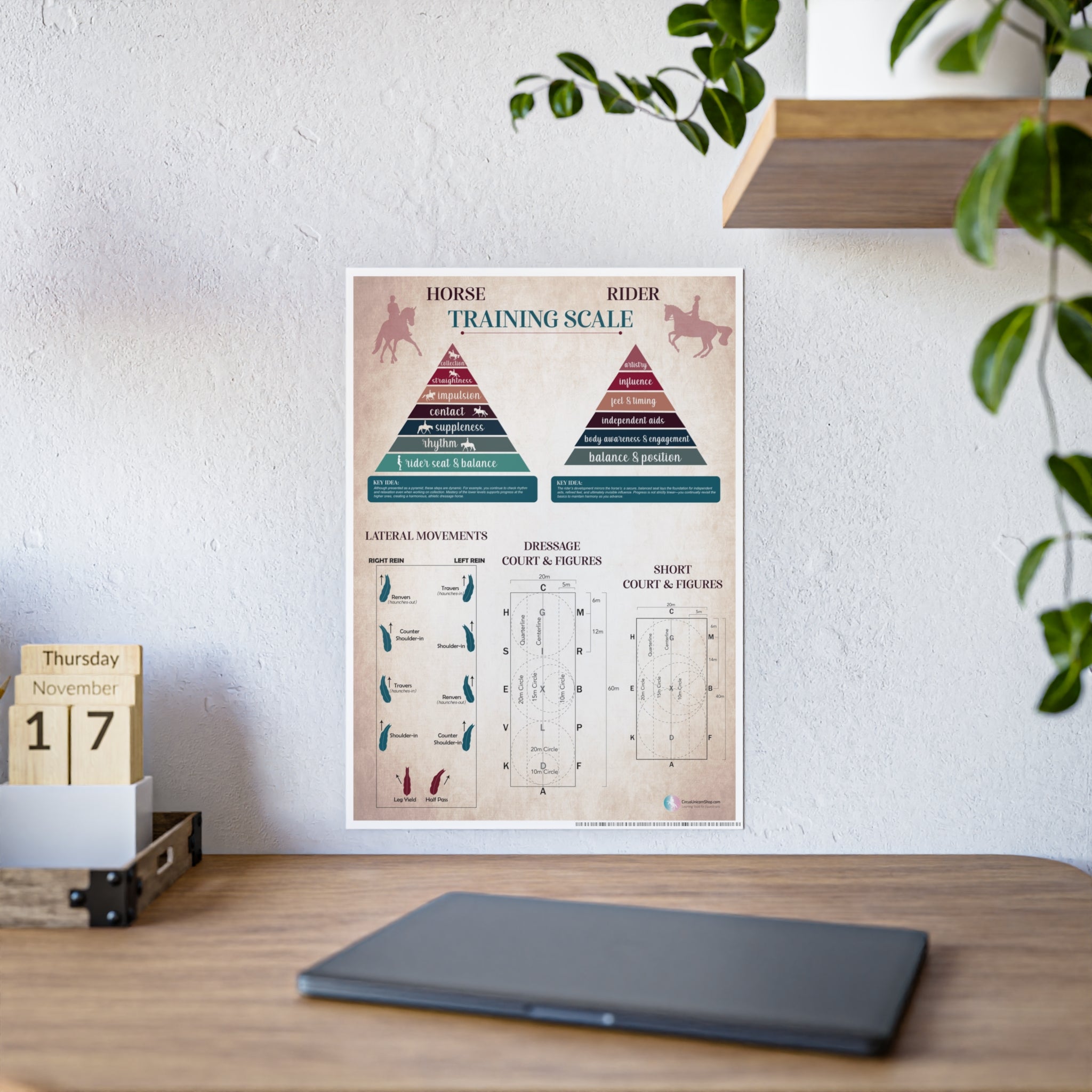 Dressage Horse Poster | Lateral Movements, Dressage Court, Figures, and Letters, and Horse & Rider Training Scales