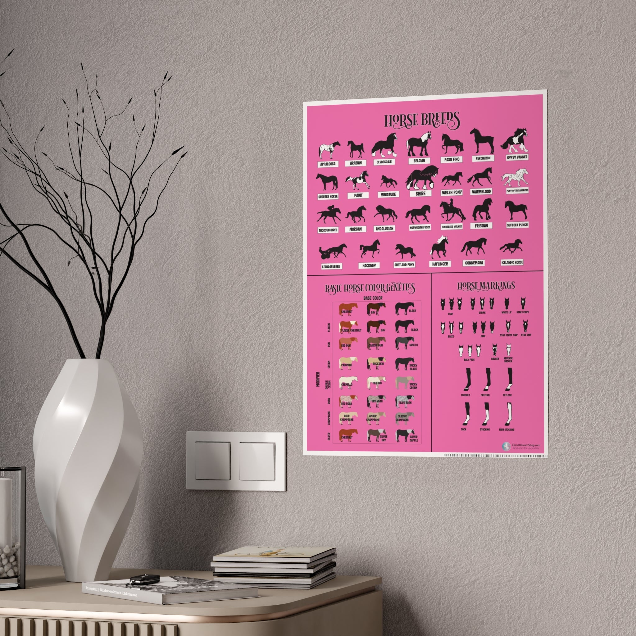 Breeds, Colors, & Markings Horse Poster