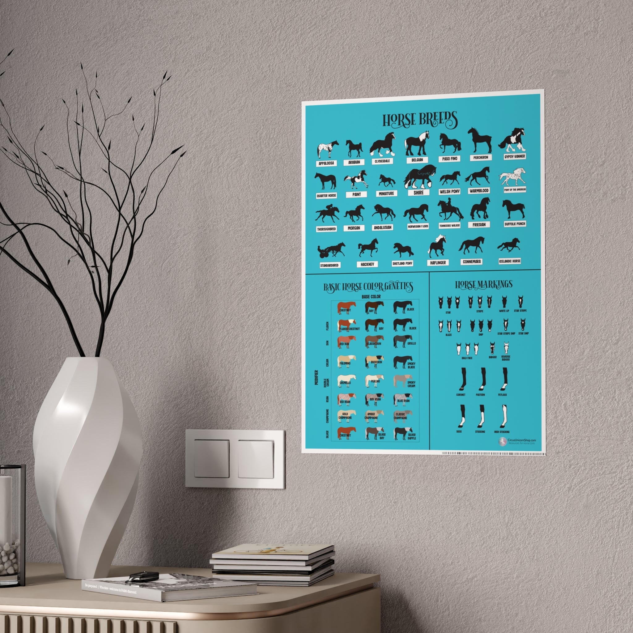Breeds, Colors, & Markings Horse Poster
