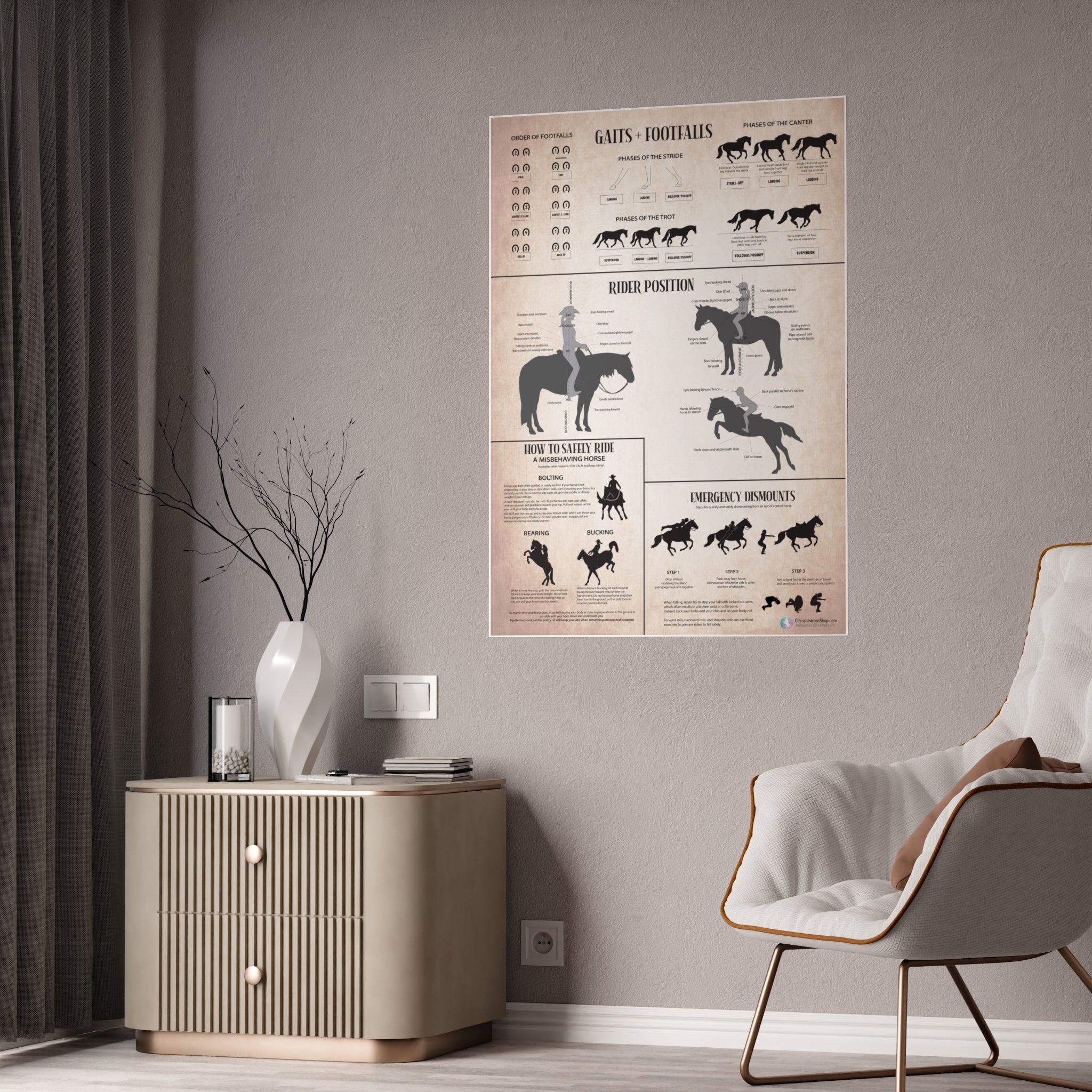 Gaits, Rider Position, & Safety Horse Poster