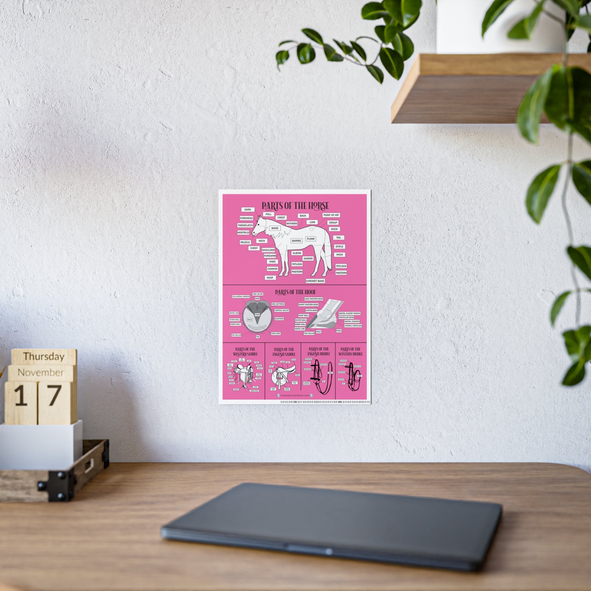 PINK Parts of the Horse Poster
