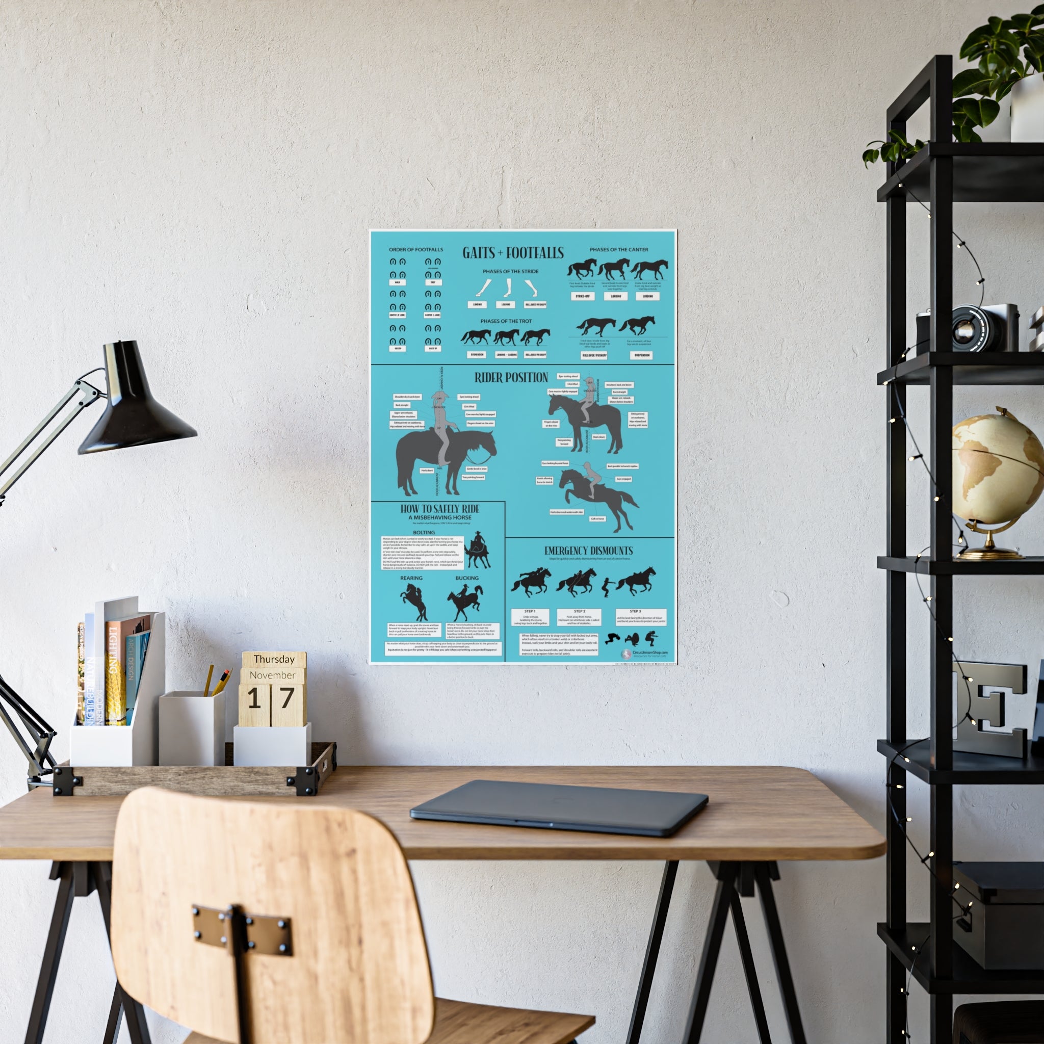 Gaits, Rider Position, & Safety Horse Poster (Blue)