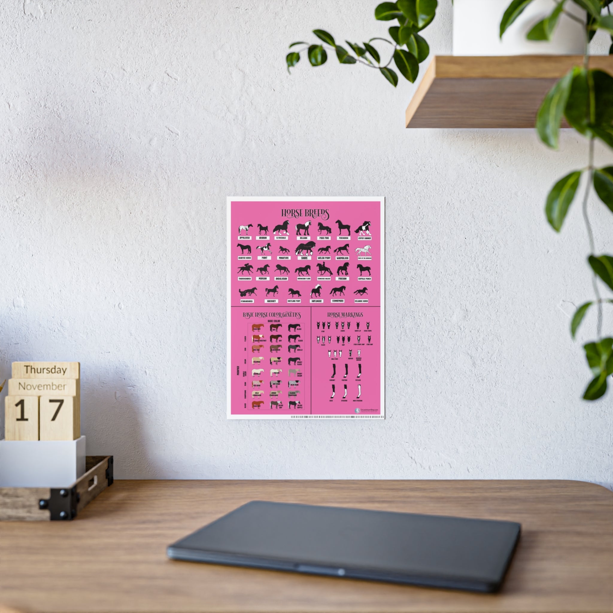 Breeds, Colors, & Markings Horse Poster