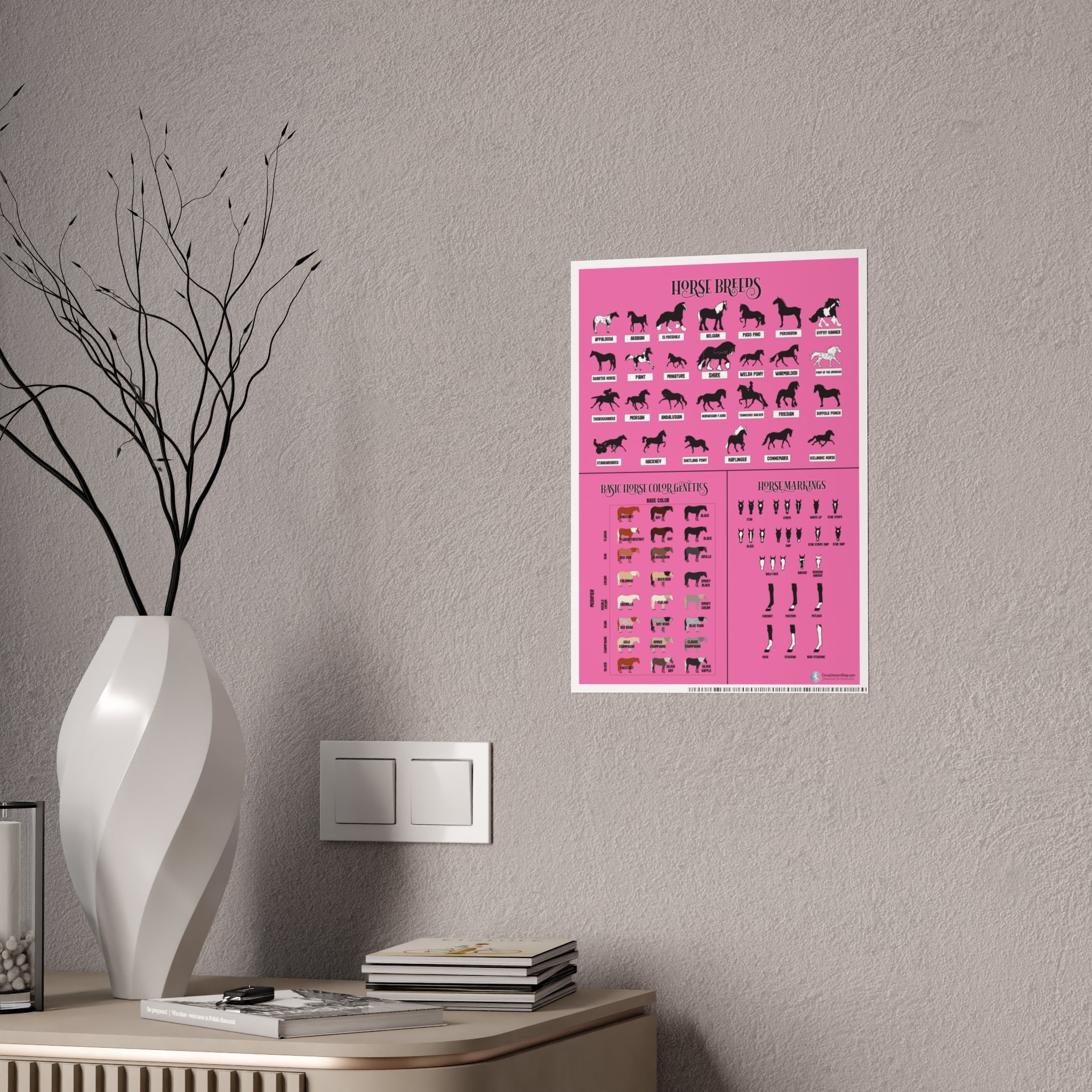 Breeds, Colors, & Markings Horse Poster