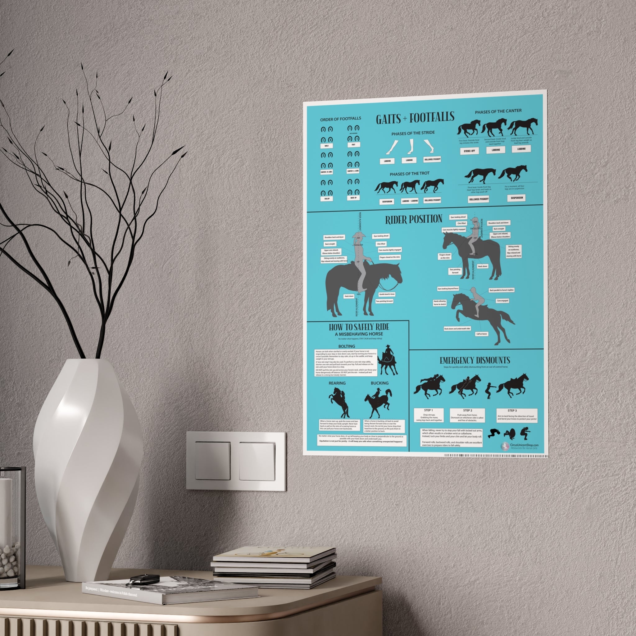 Gaits, Rider Position, & Safety Horse Poster (Blue)