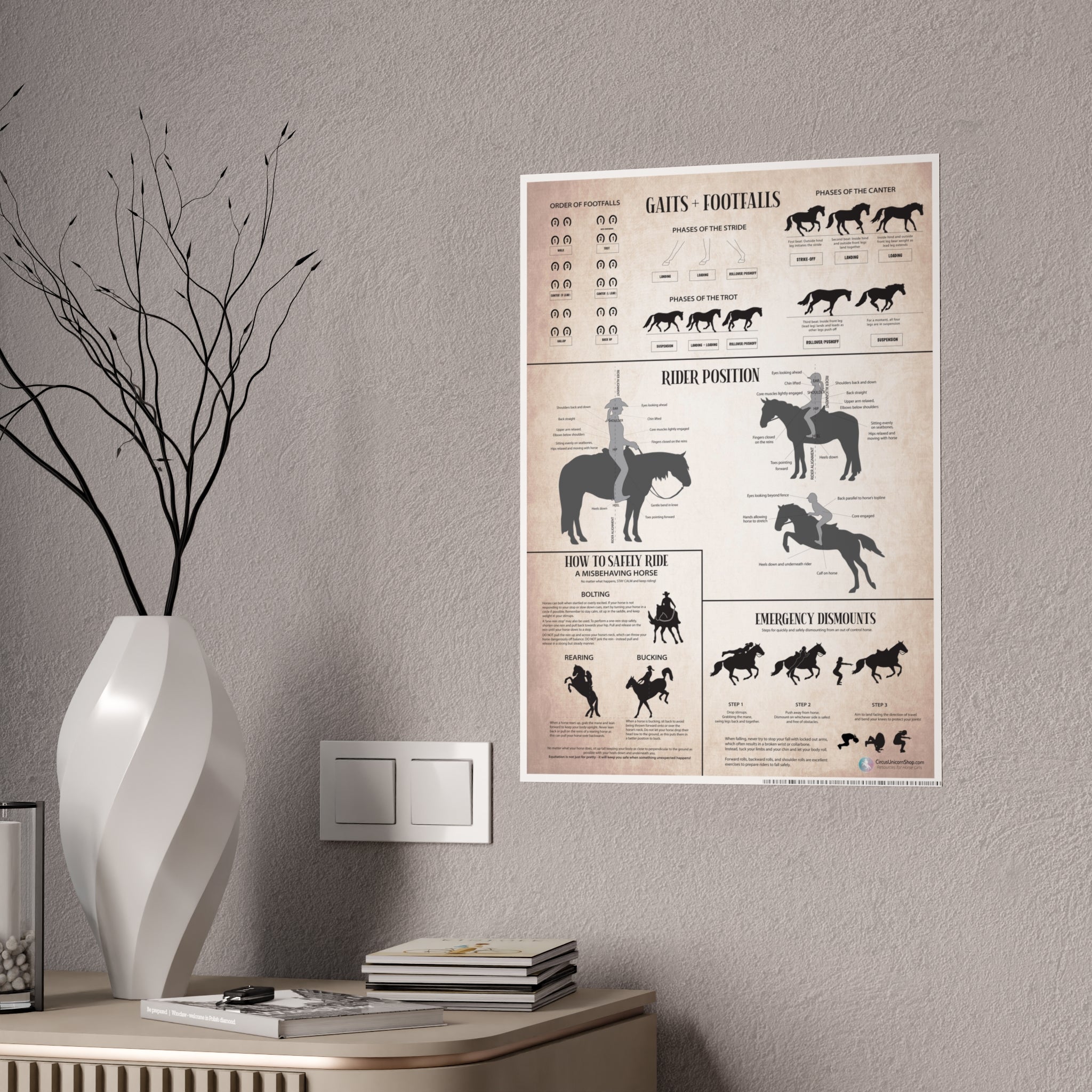 Gaits, Rider Position, & Safety Horse Poster
