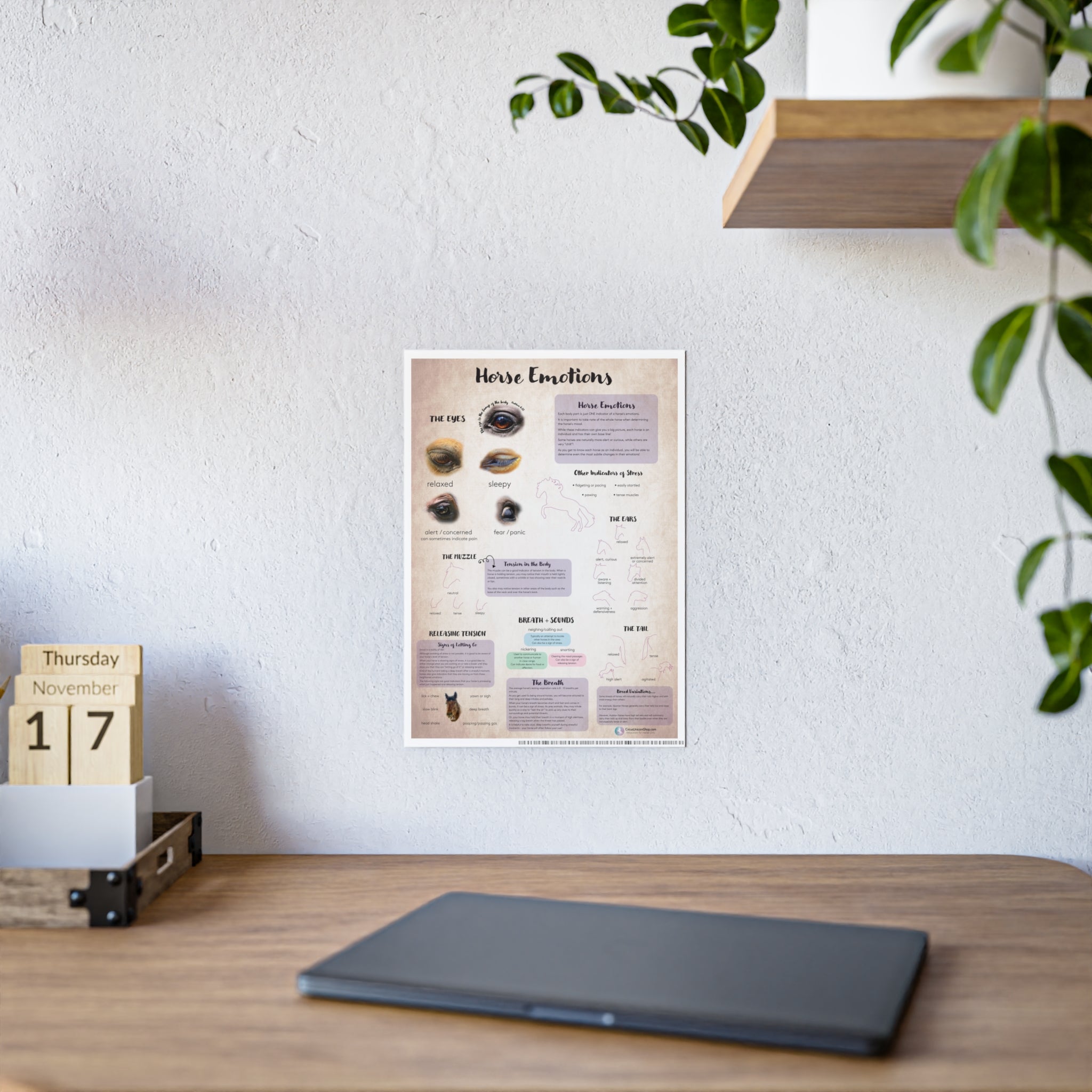 Horse Emotions Poster