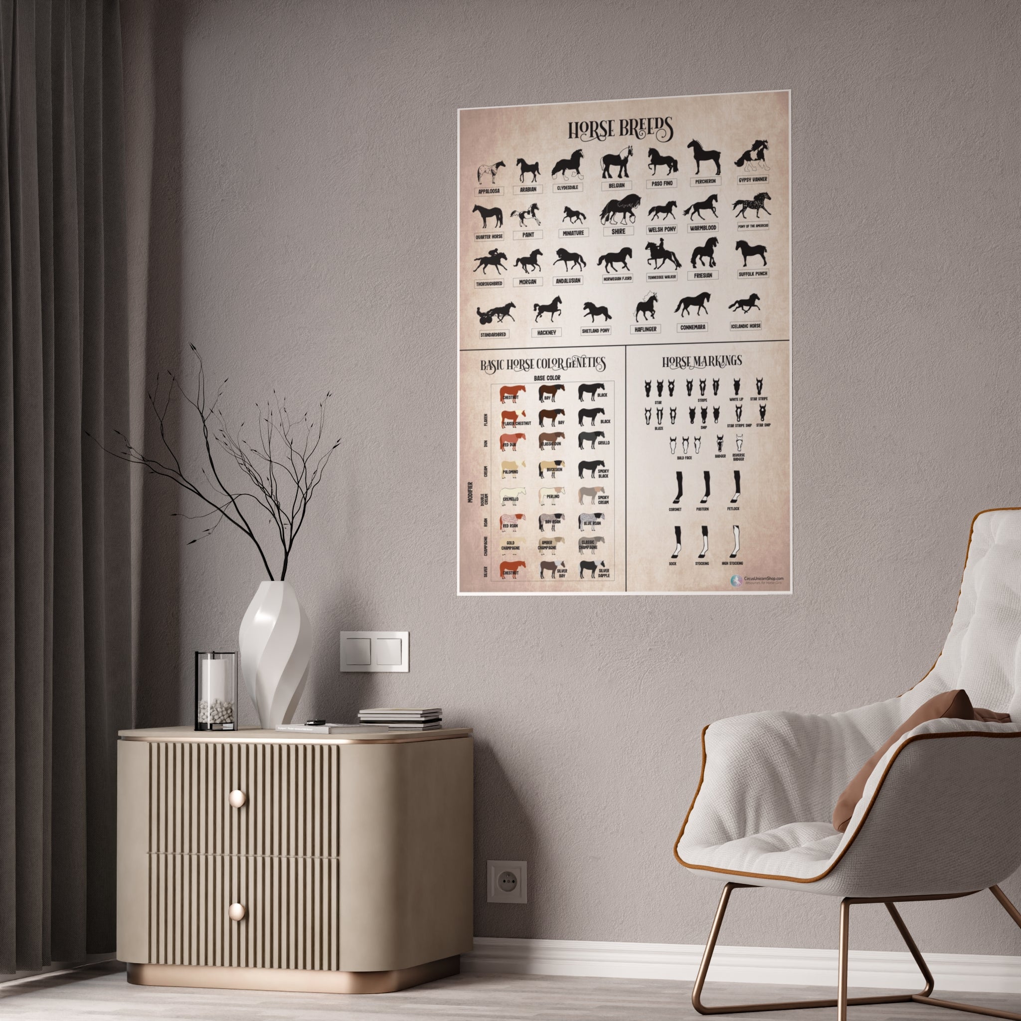 Breeds, Colors, & Markings Horse Poster (Natural)