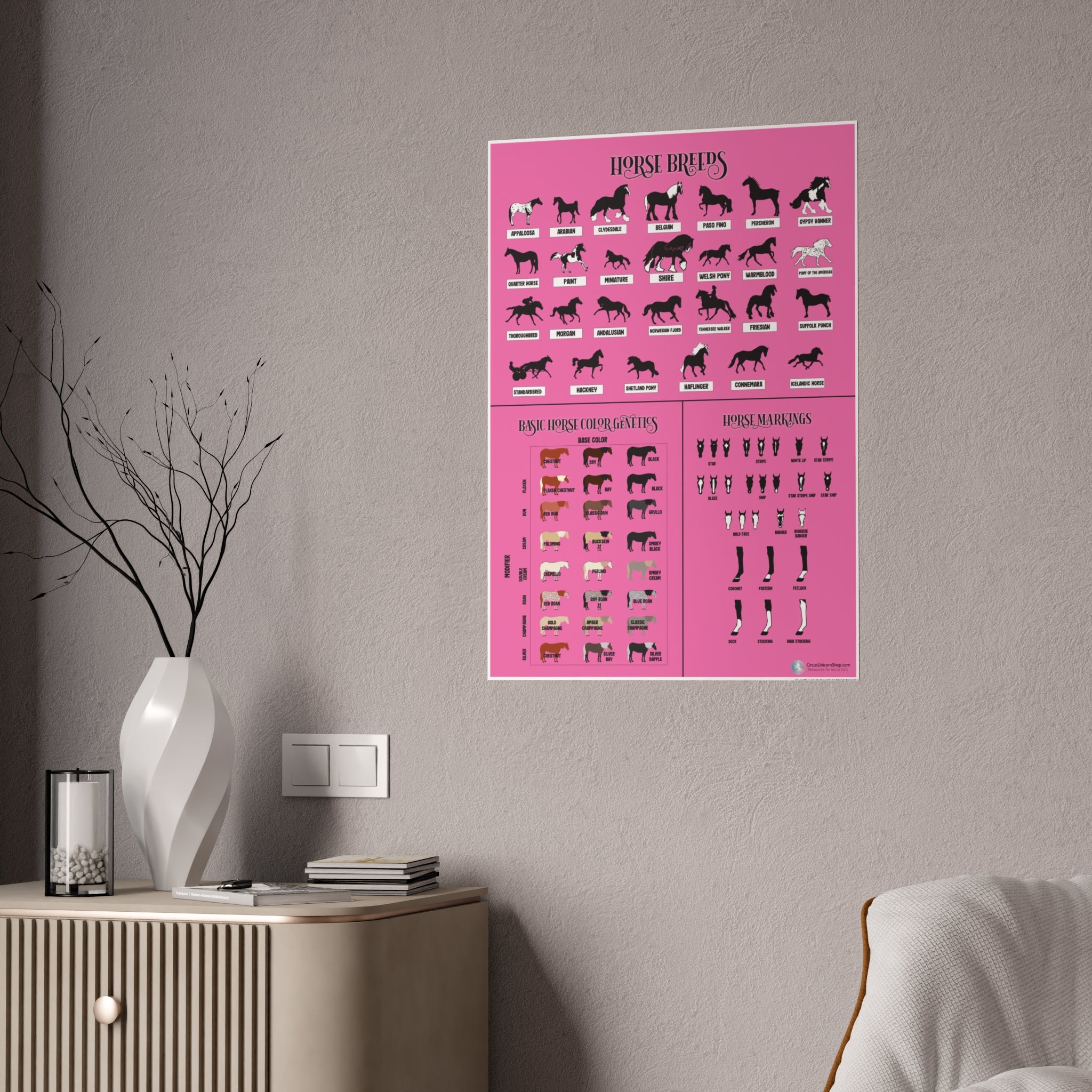 Breeds, Colors, & Markings Horse Poster