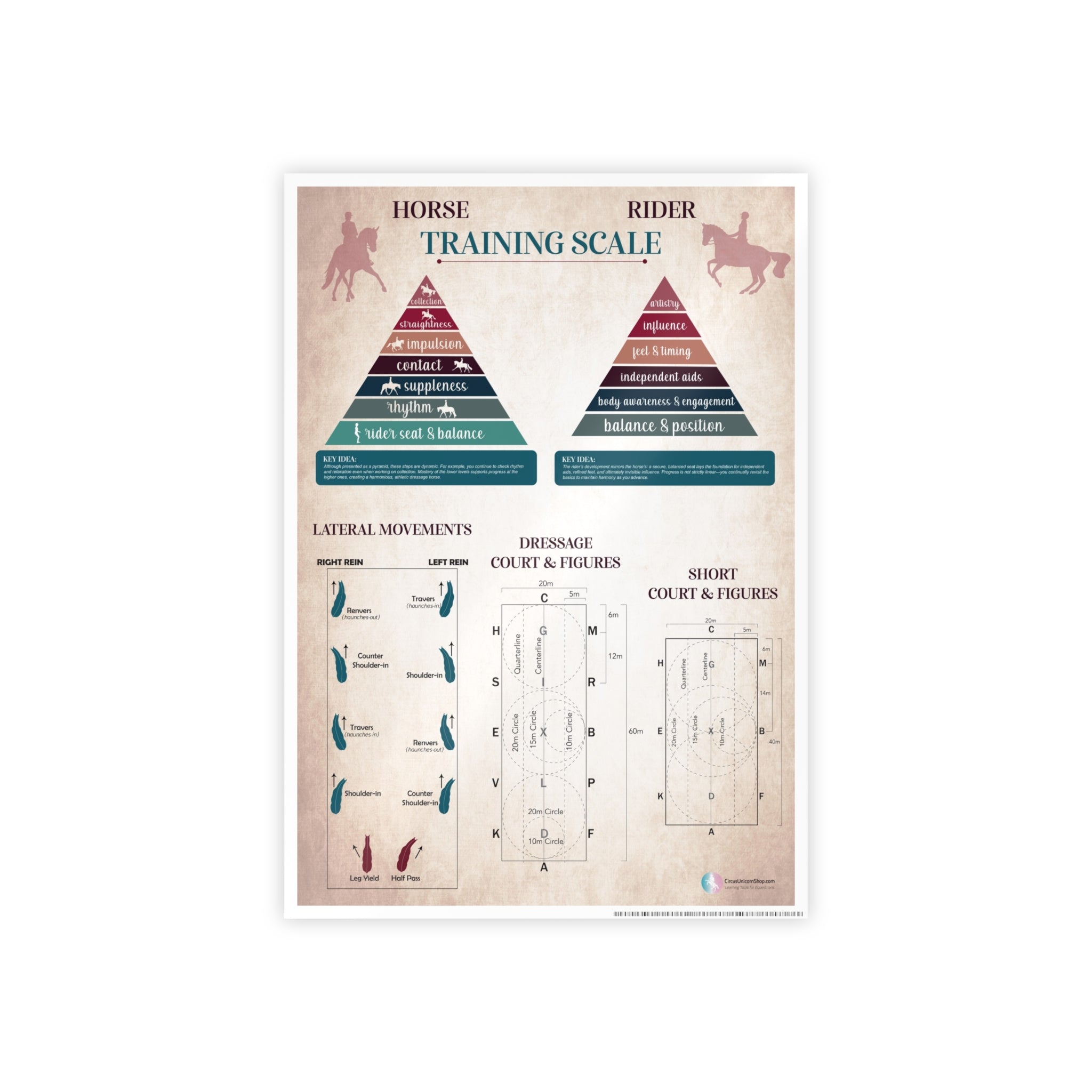 Dressage Horse Poster | Lateral Movements, Dressage Court, Figures, and Letters, and Horse & Rider Training Scales