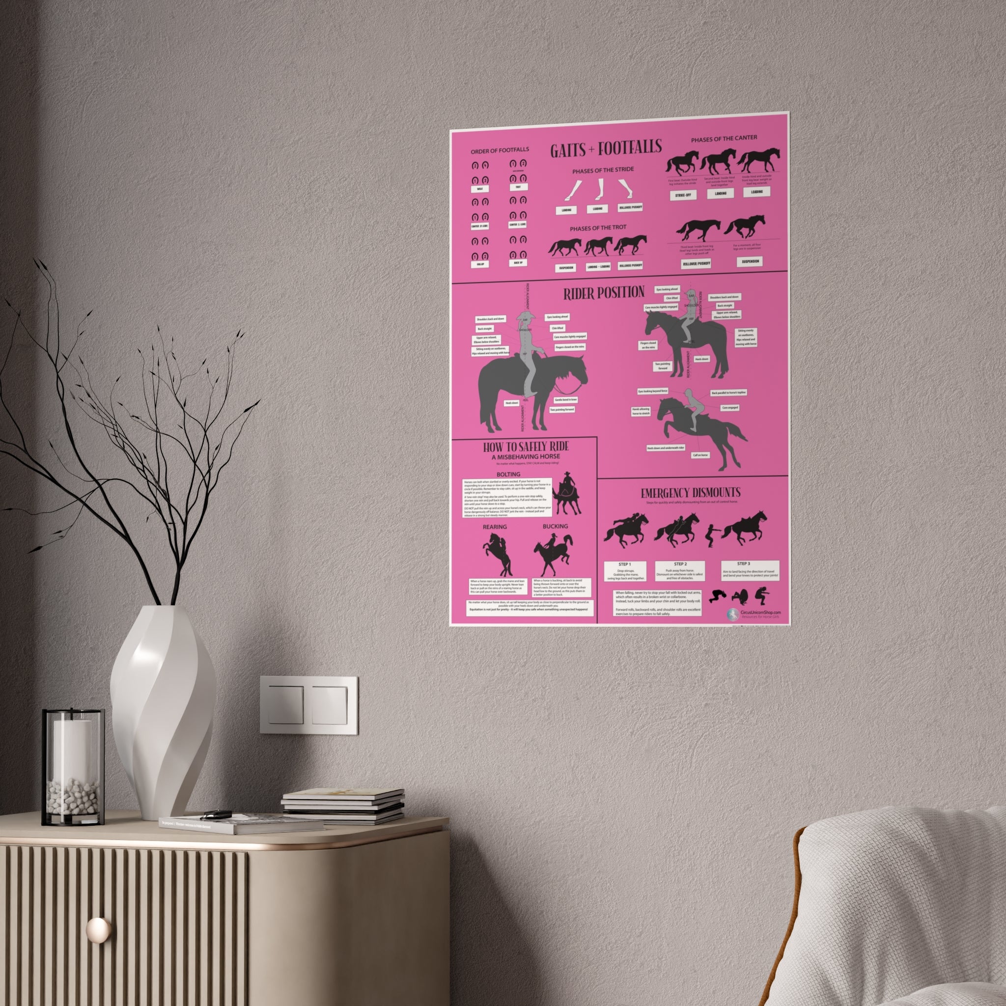Gaits, Rider Position, & Safety Horse Poster