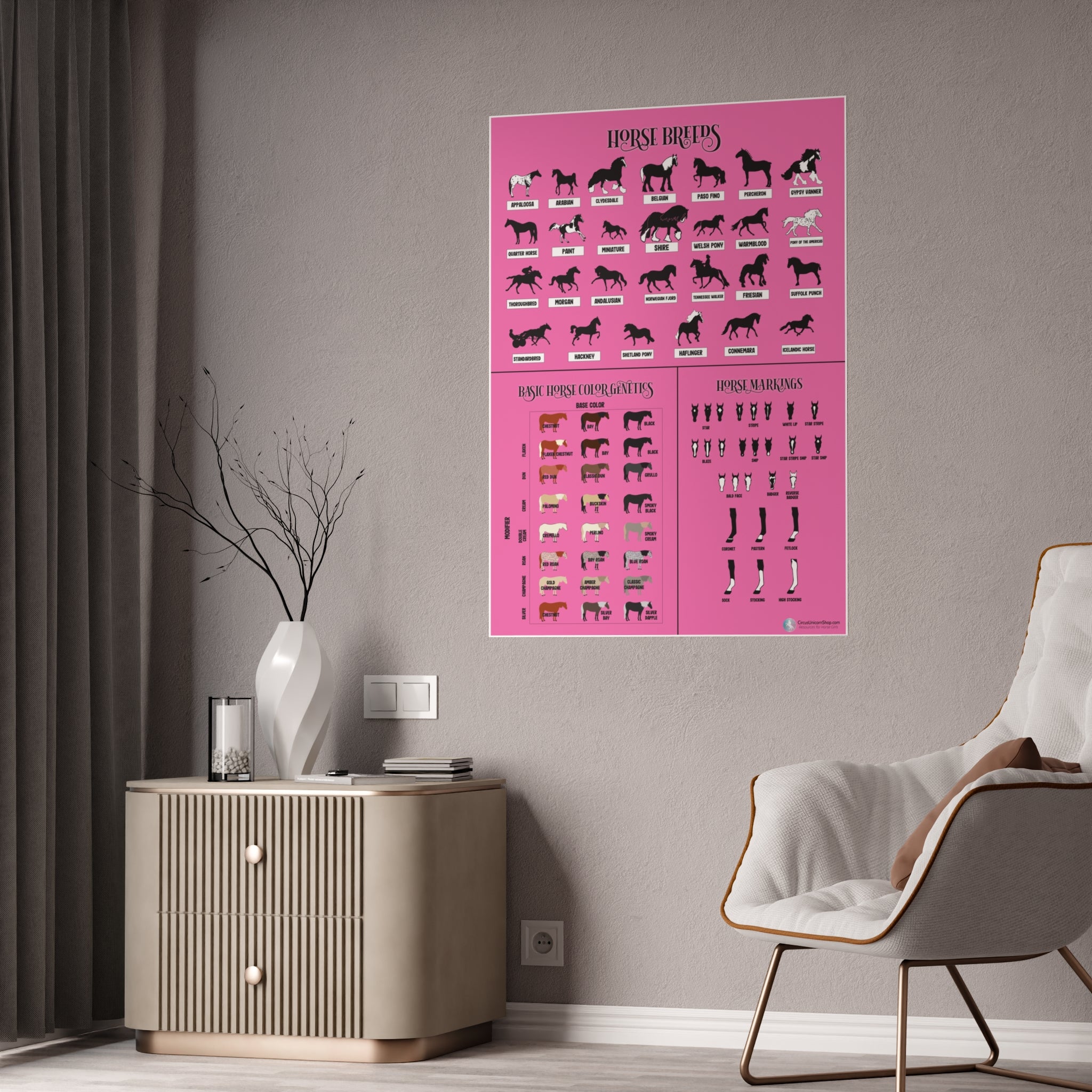 Breeds, Colors, & Markings Horse Poster