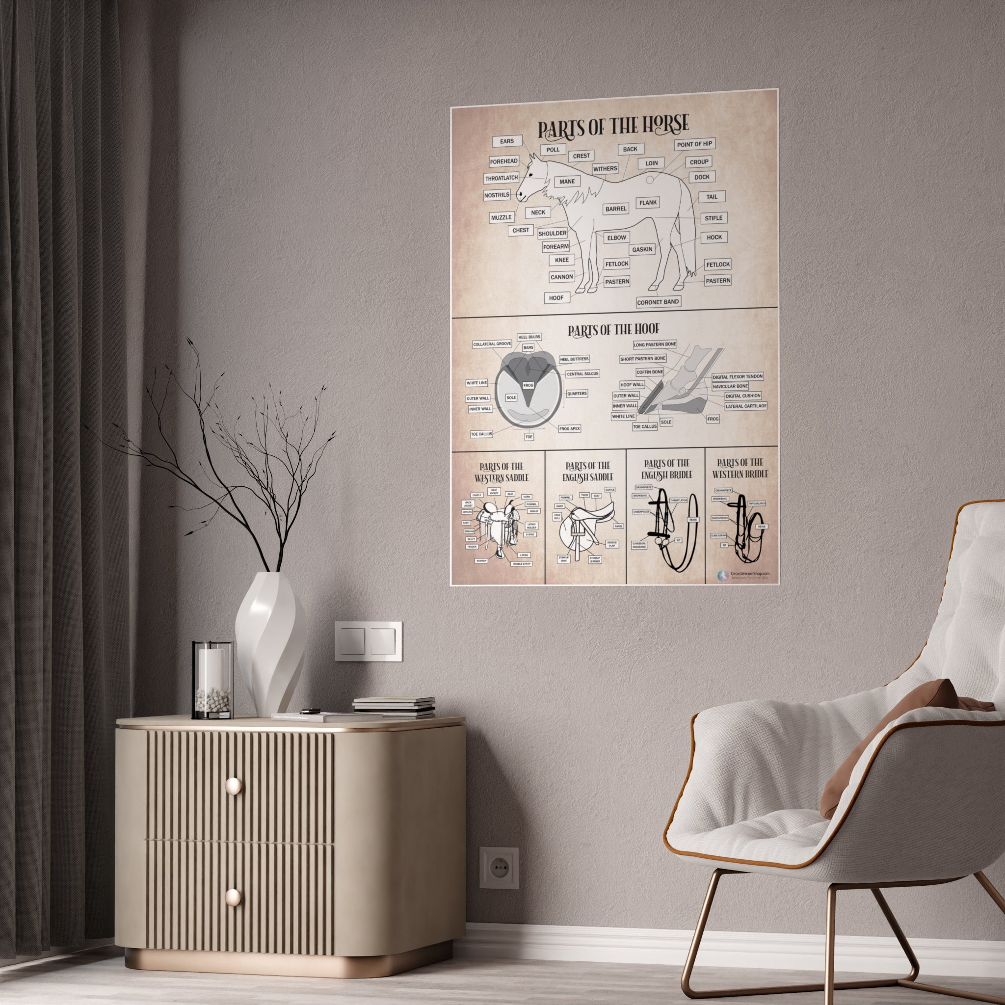 Parts of the Horse Poster - Natural