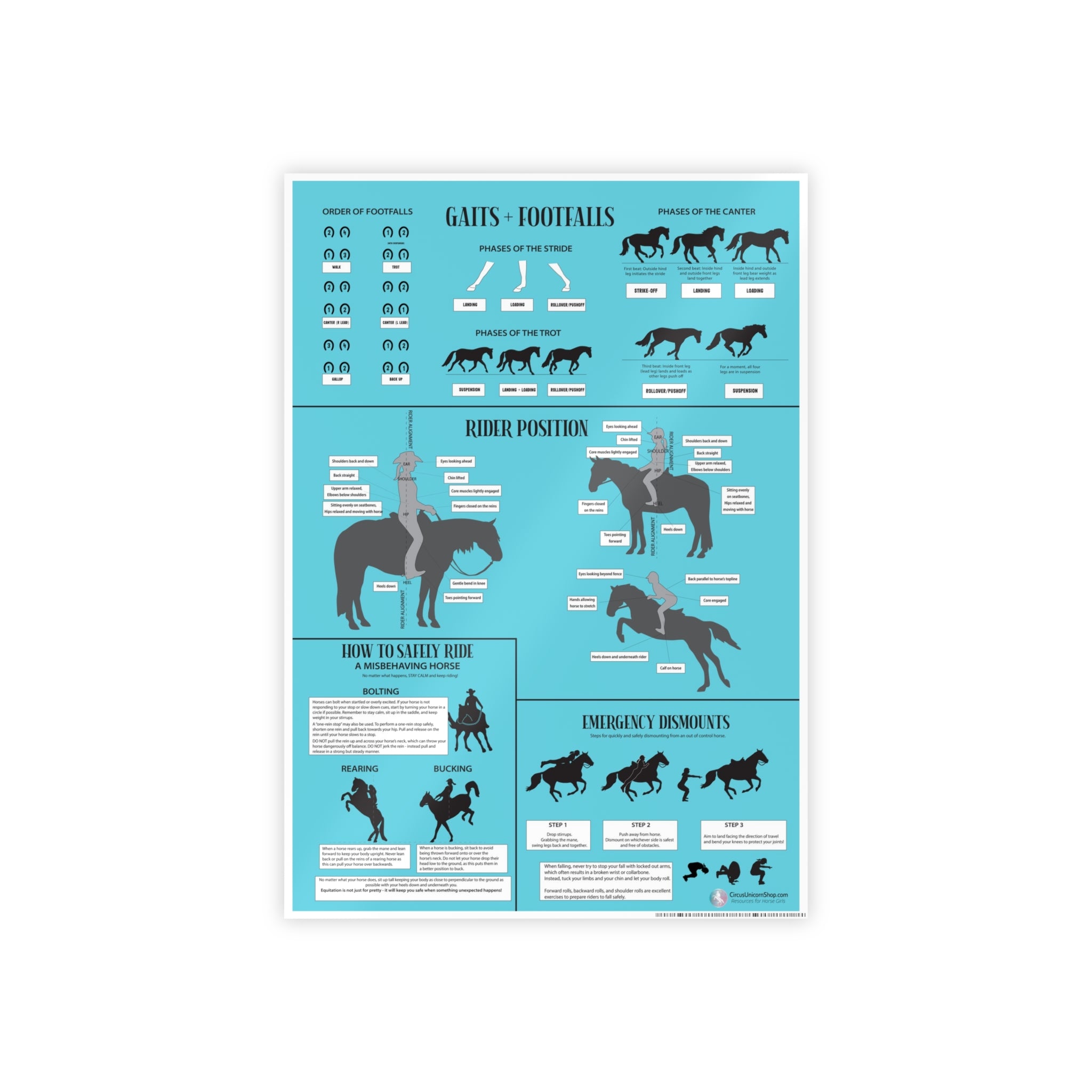 Gaits, Rider Position, & Safety Horse Poster (Blue)