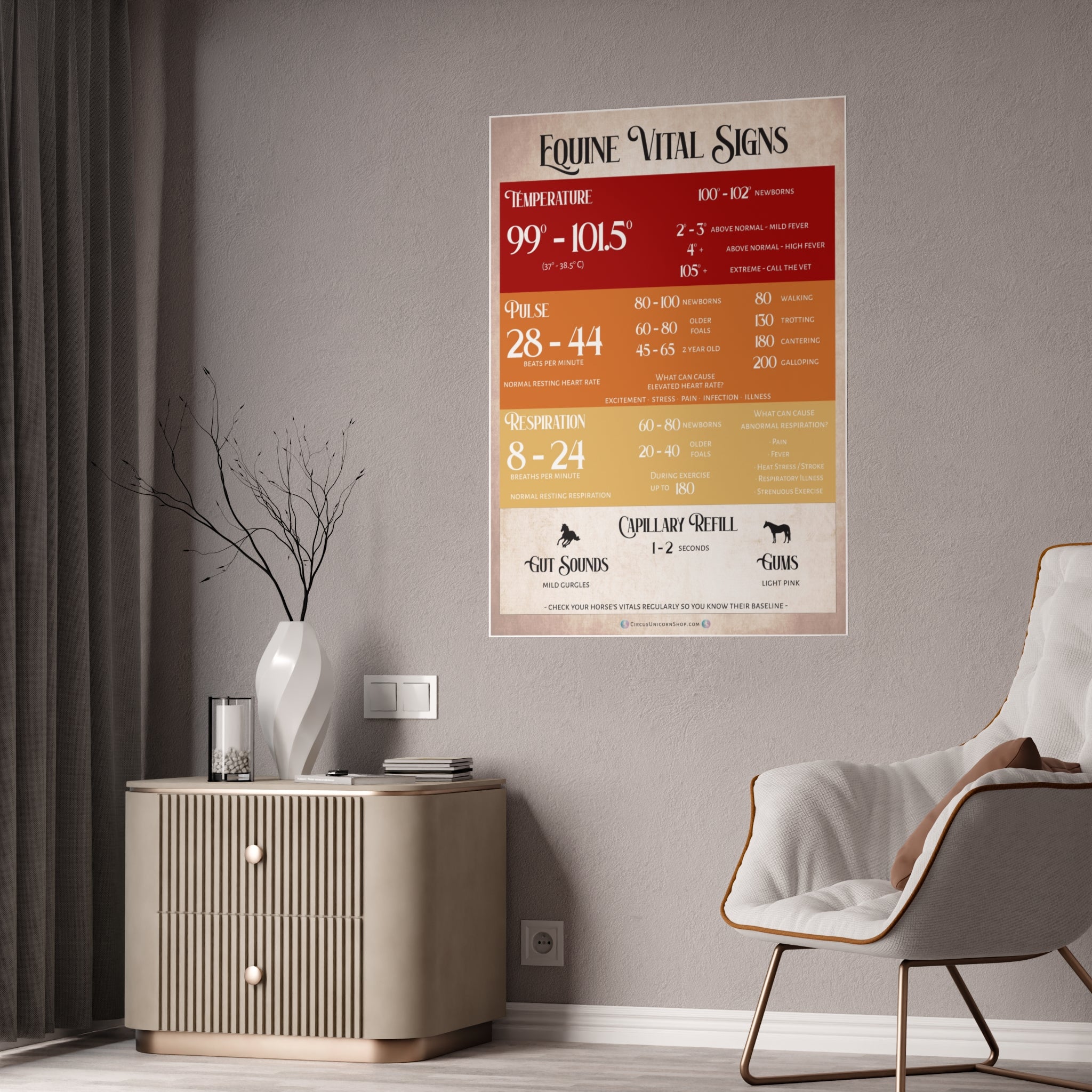 Equine Vital Signs Poster (TPR)