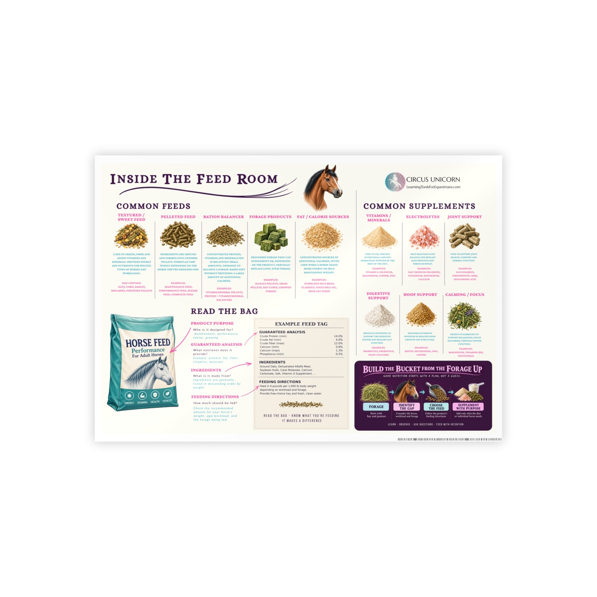 Inside the Feed Room Educational Horse Poster