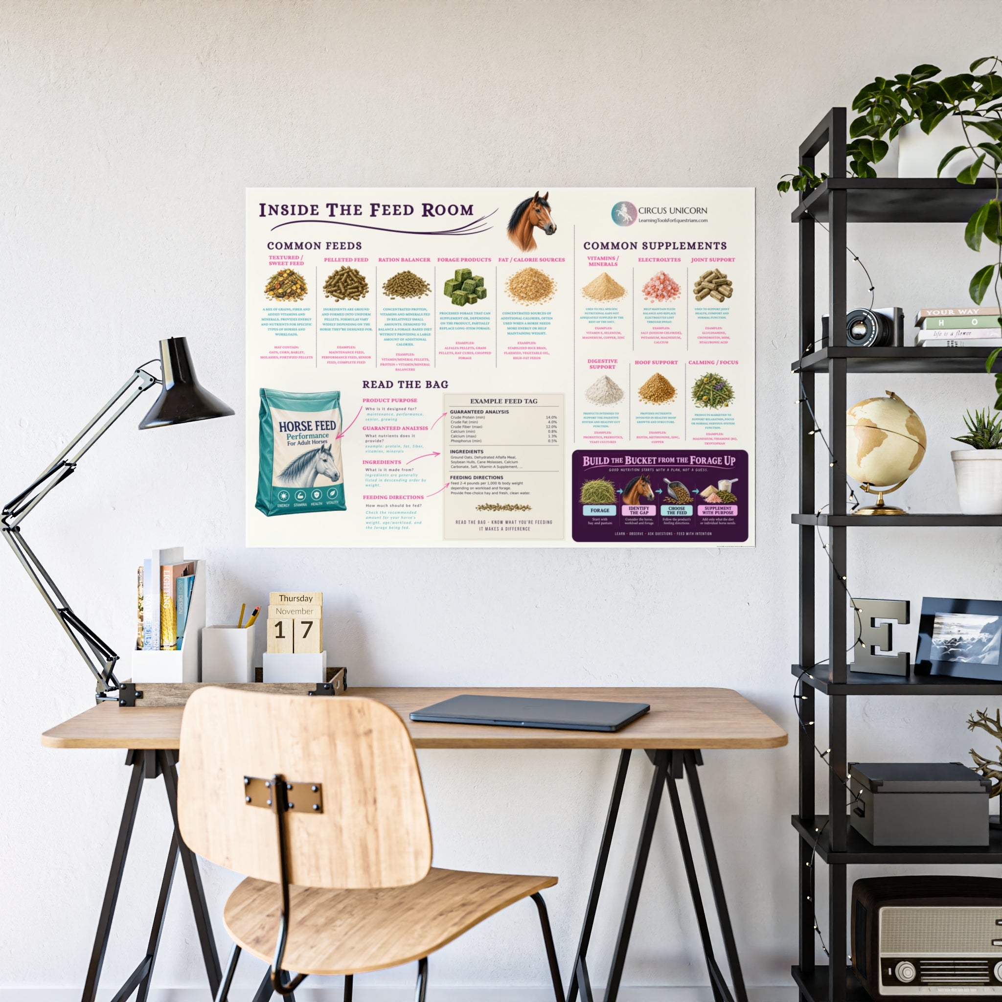 Inside the Feed Room Educational Horse Poster
