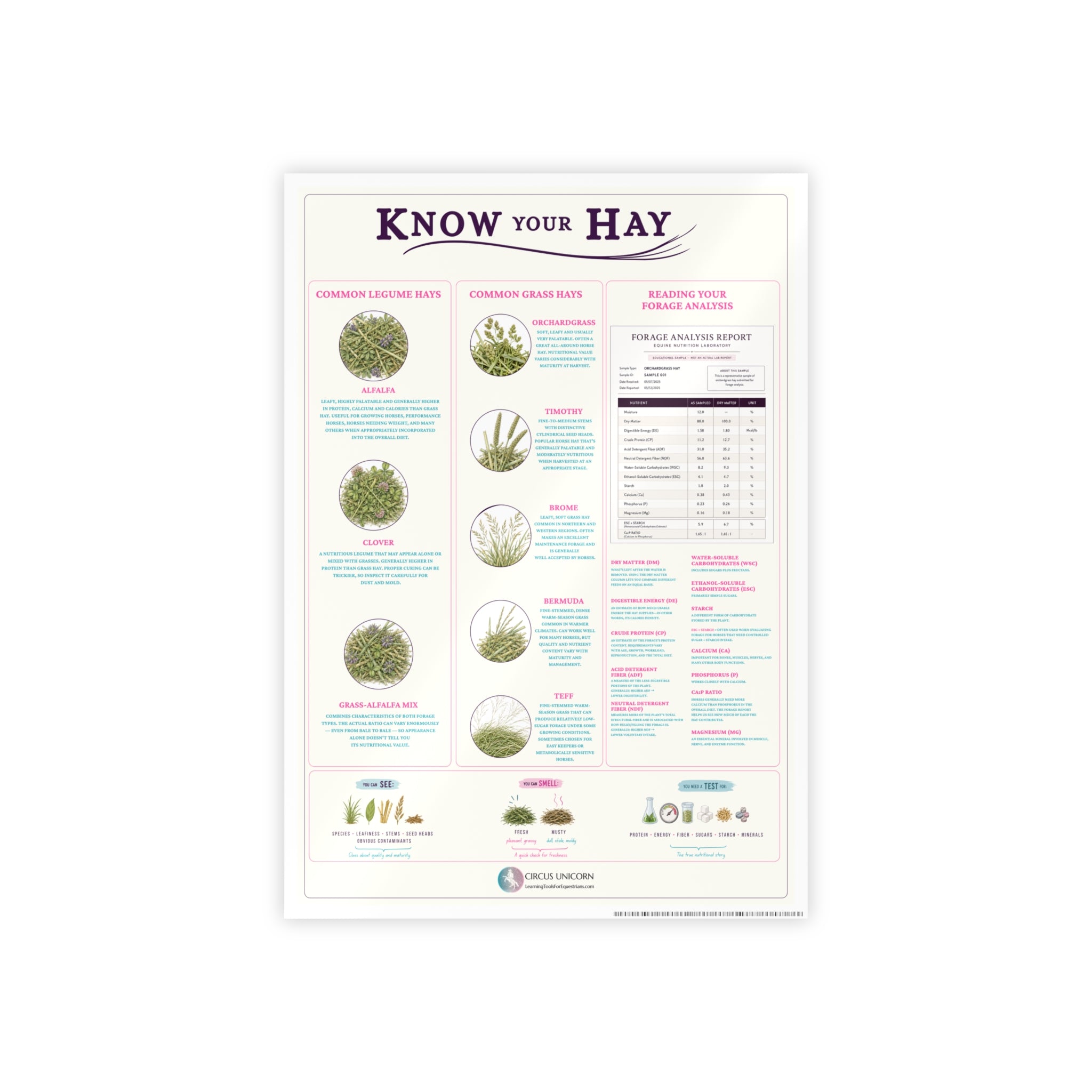 Know Your Forage Educational Horse Poster