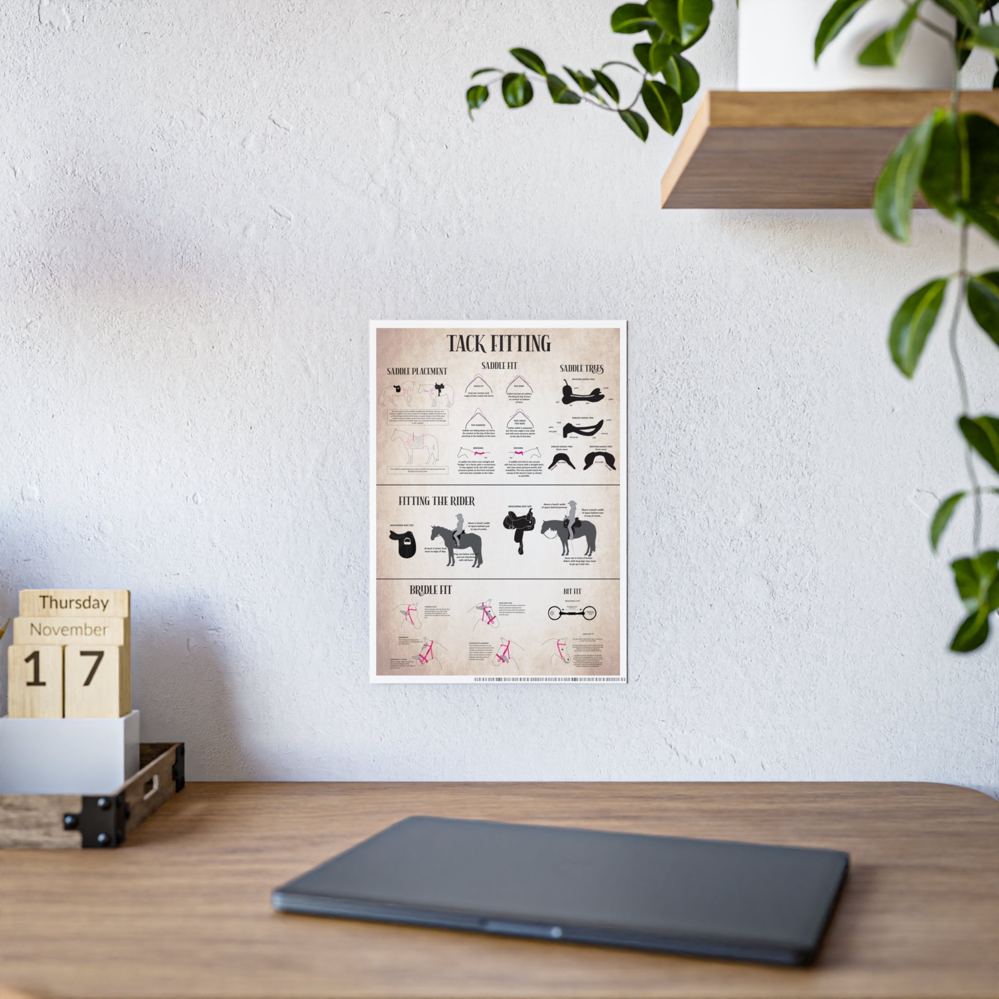 Bridle and Saddle Fit Poster