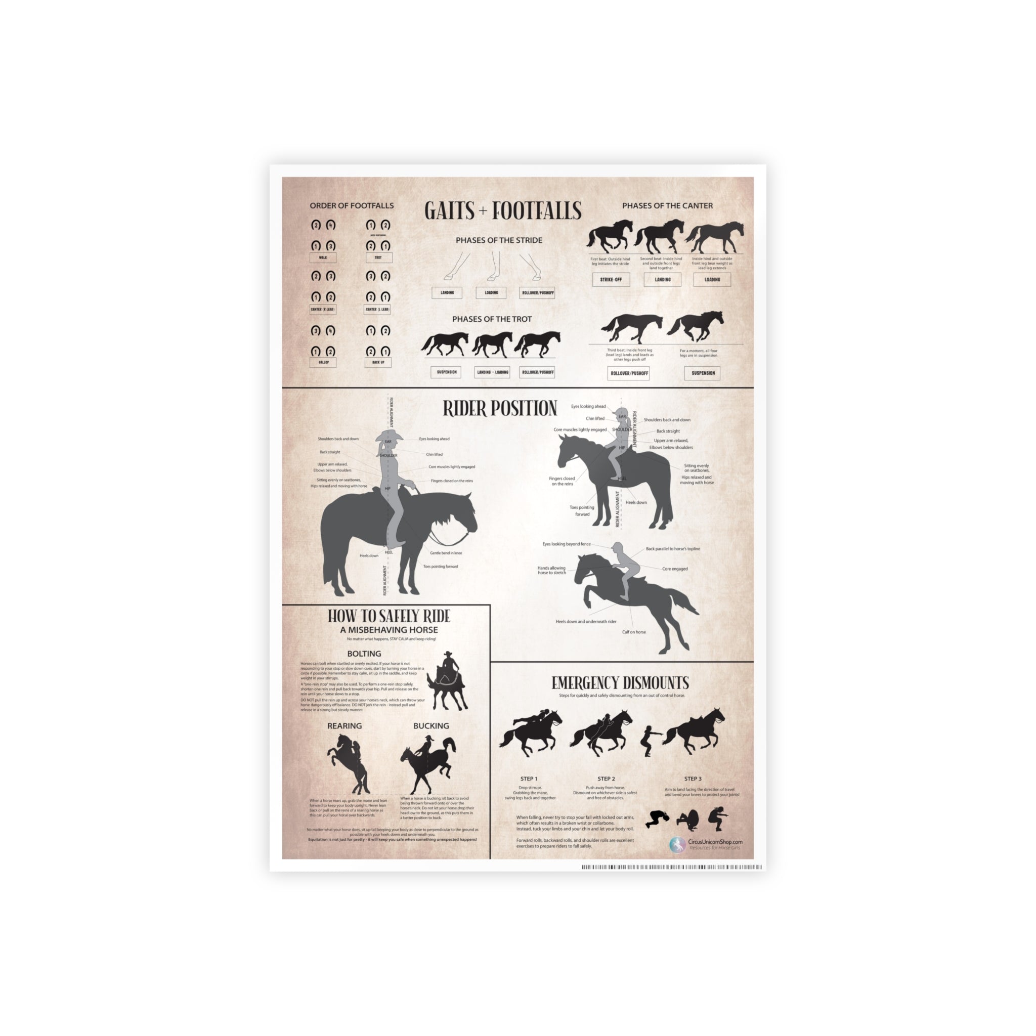 Gaits, Rider Position, & Safety Horse Poster