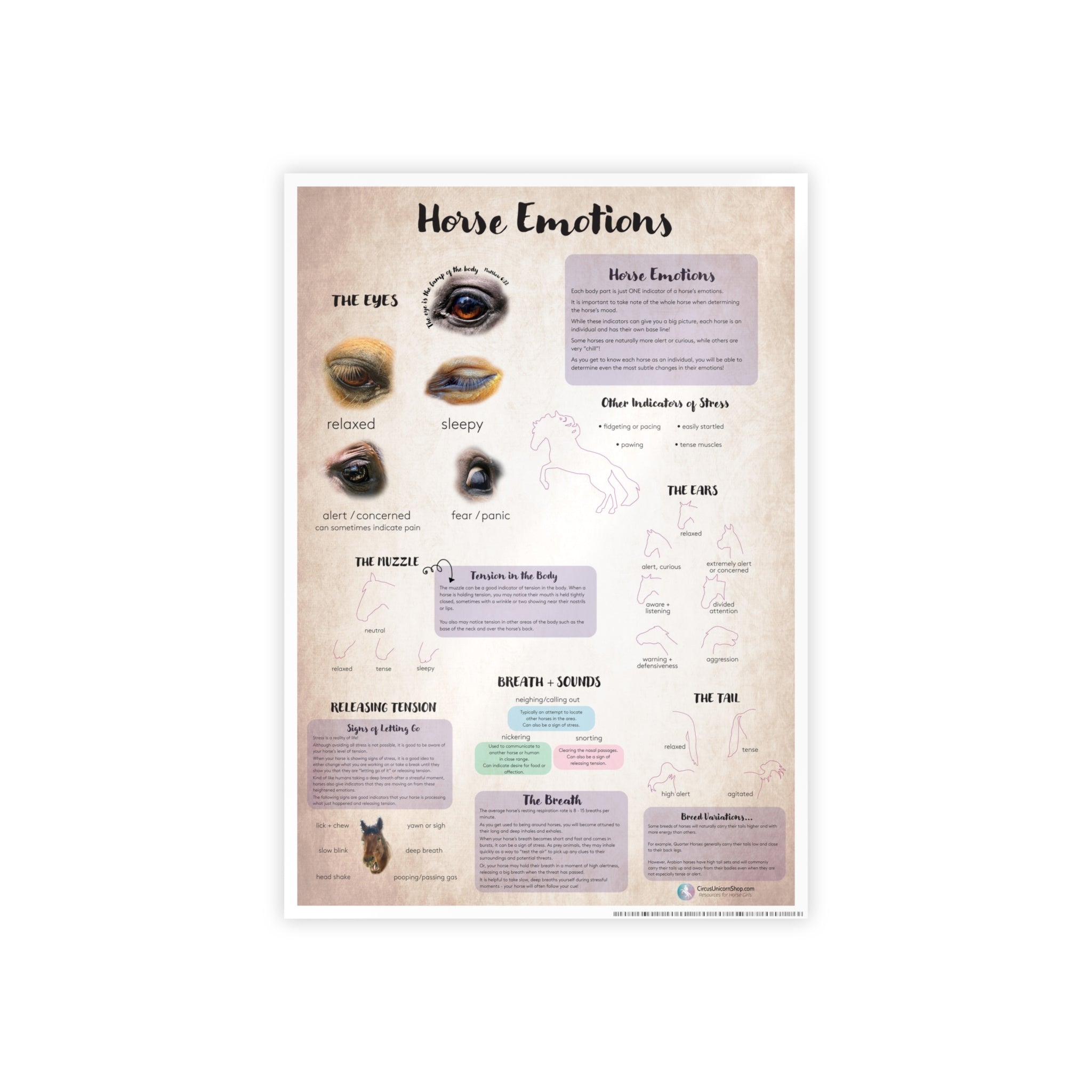 Horse Emotions Poster
