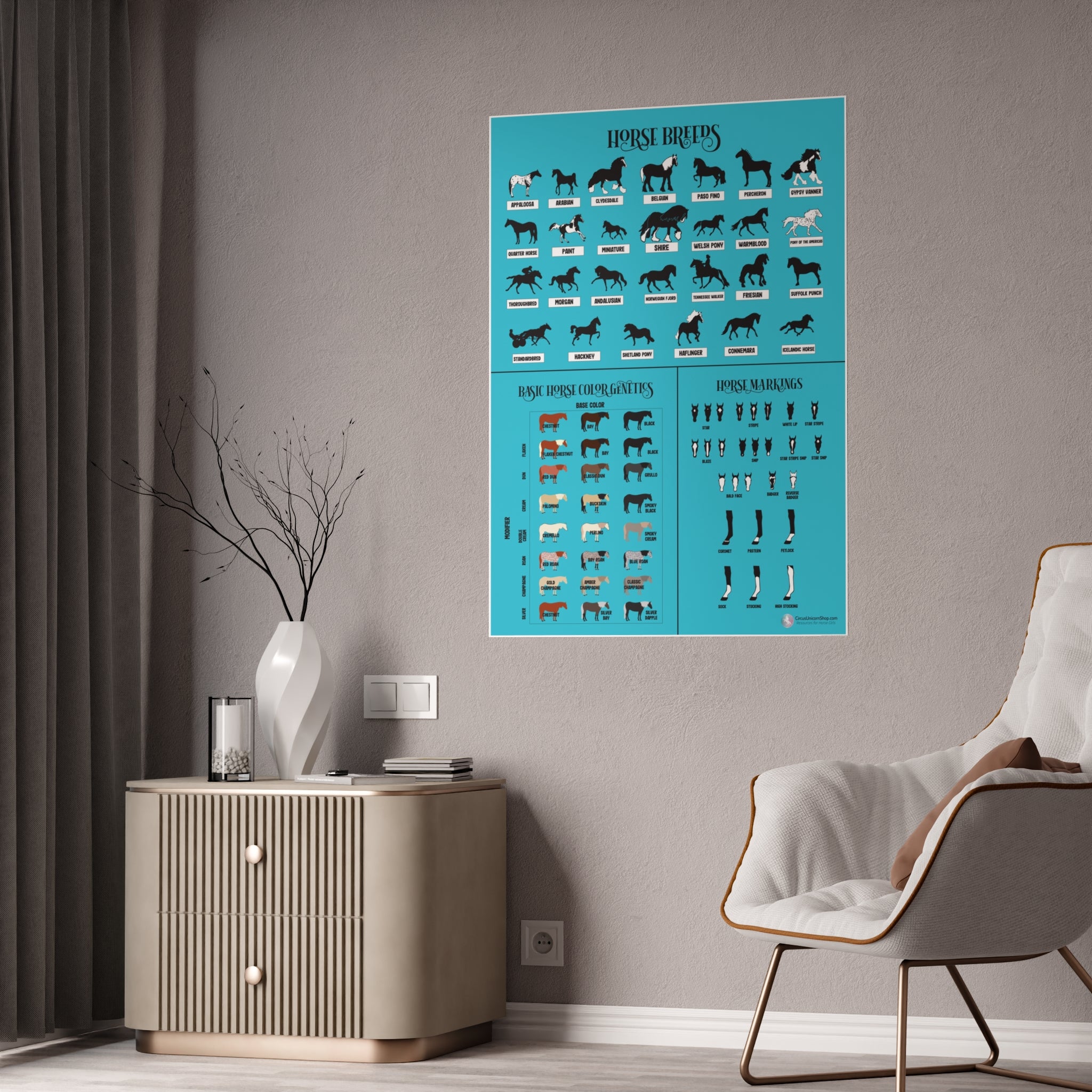 Breeds, Colors, & Markings Horse Poster