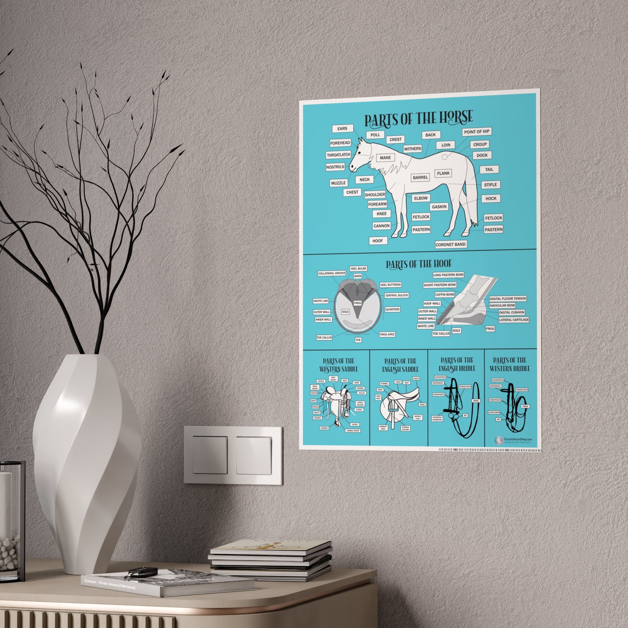 Parts of the Horse Poster (Blue)