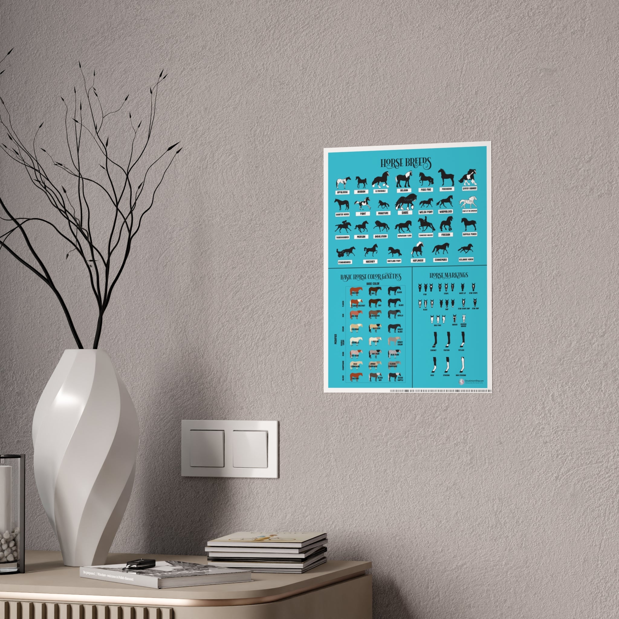 Breeds, Colors, & Markings Horse Poster