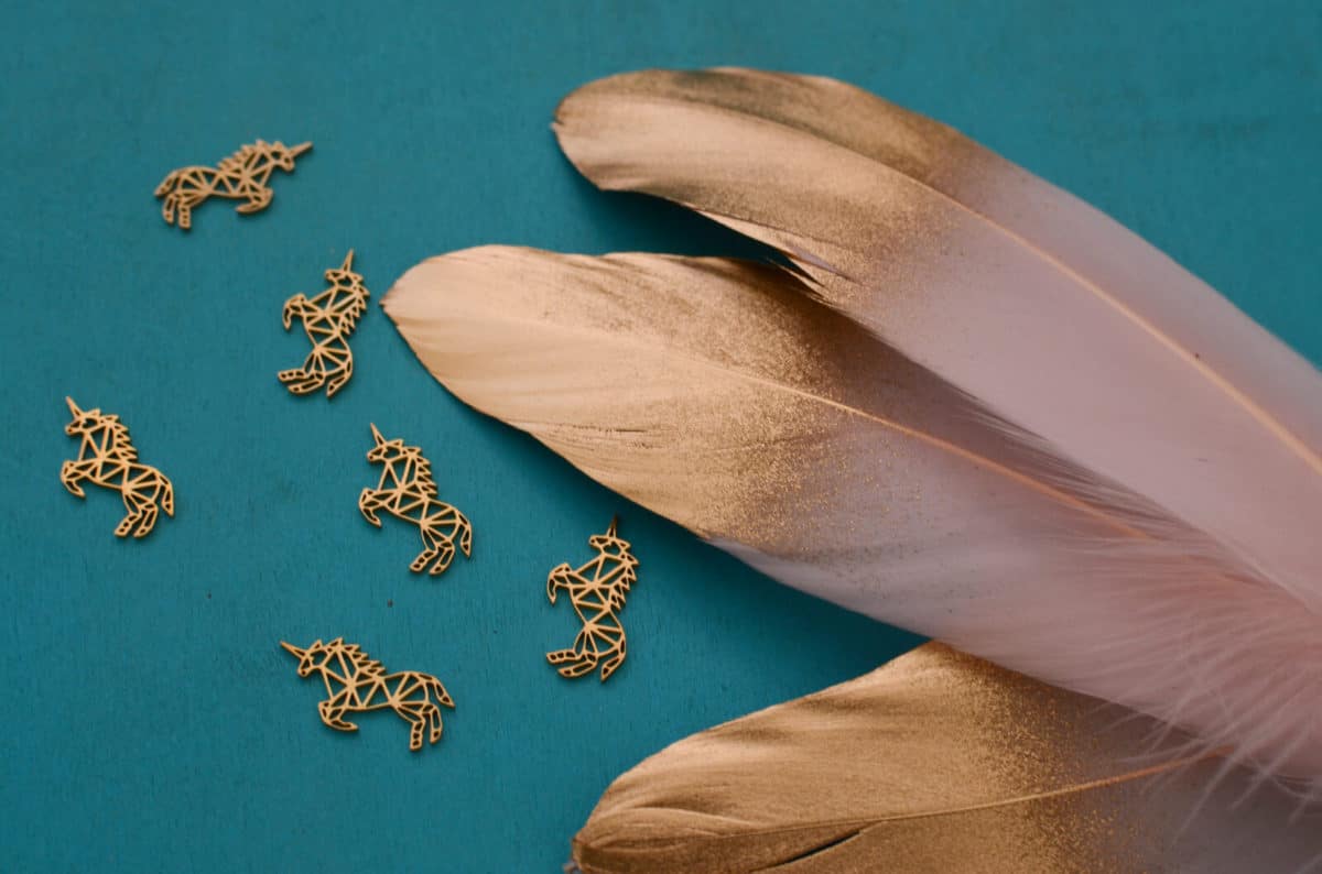 Mane Feathers