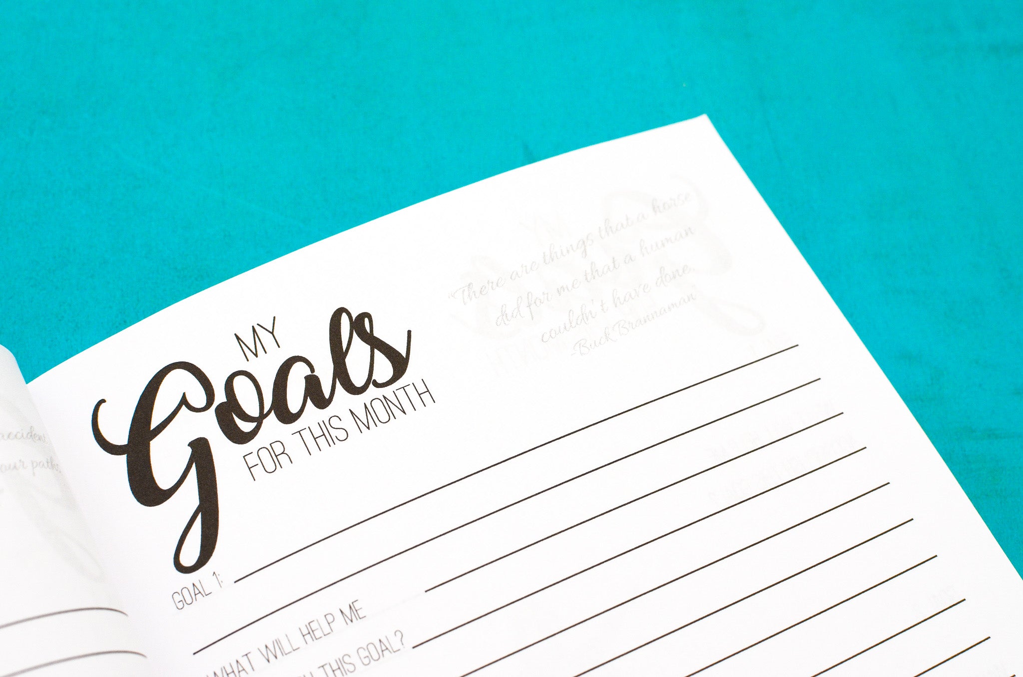 The Equestrienne's Journal