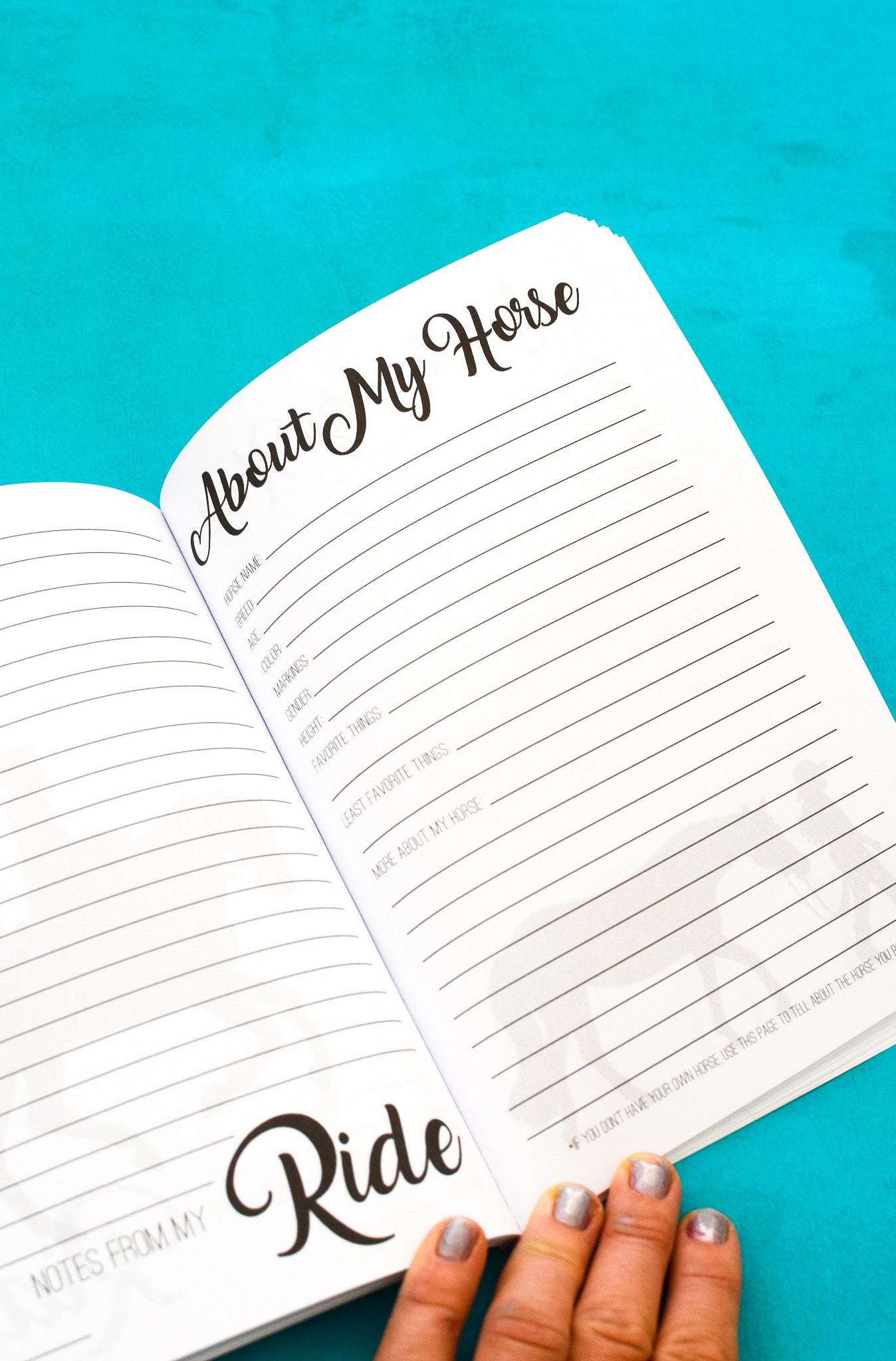 The Young Rider's Journal