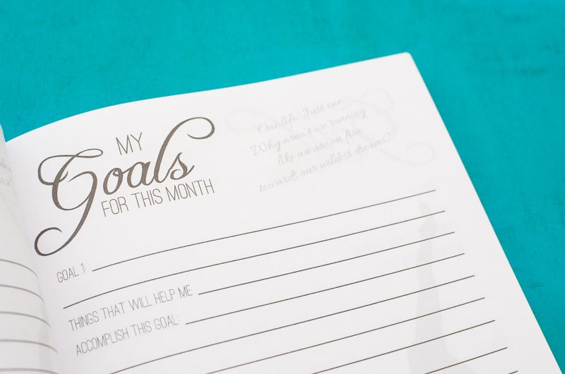 Equestrian Vaulter's Journal