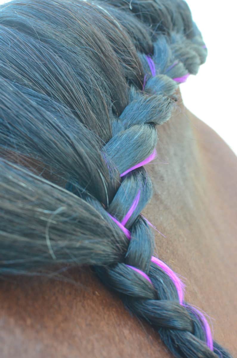 Colorful Mane & Tail Clip Ins