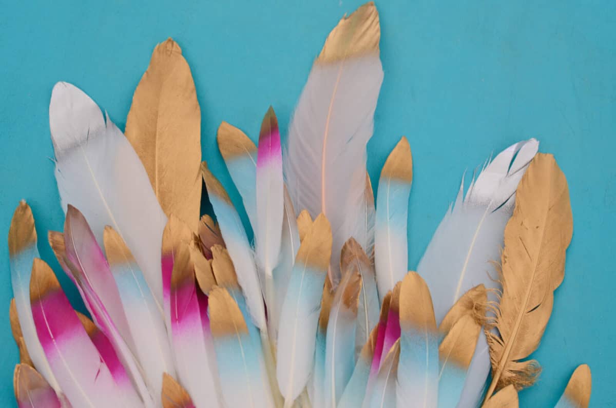 Mane Feathers