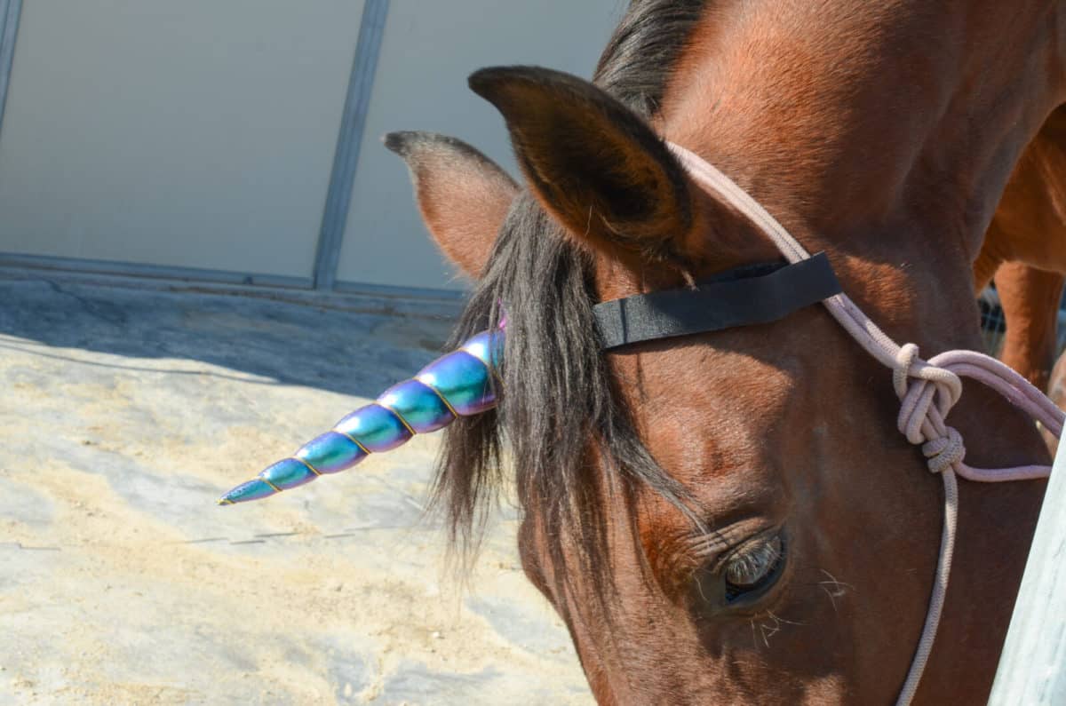Unicorn Horn - with Hook & Loop Attachment for Halter/Bridle