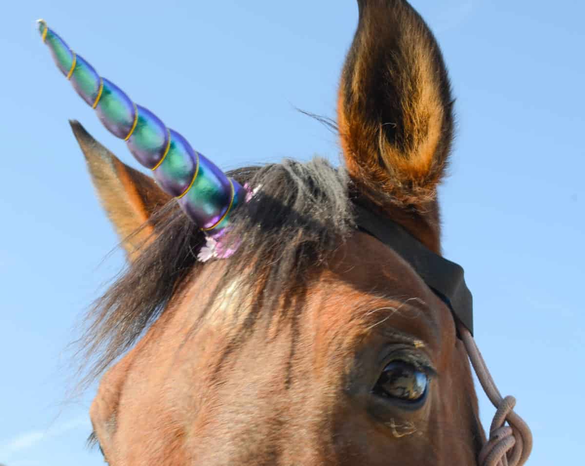 Unicorn Horn - with Hook & Loop Attachment for Halter/Bridle