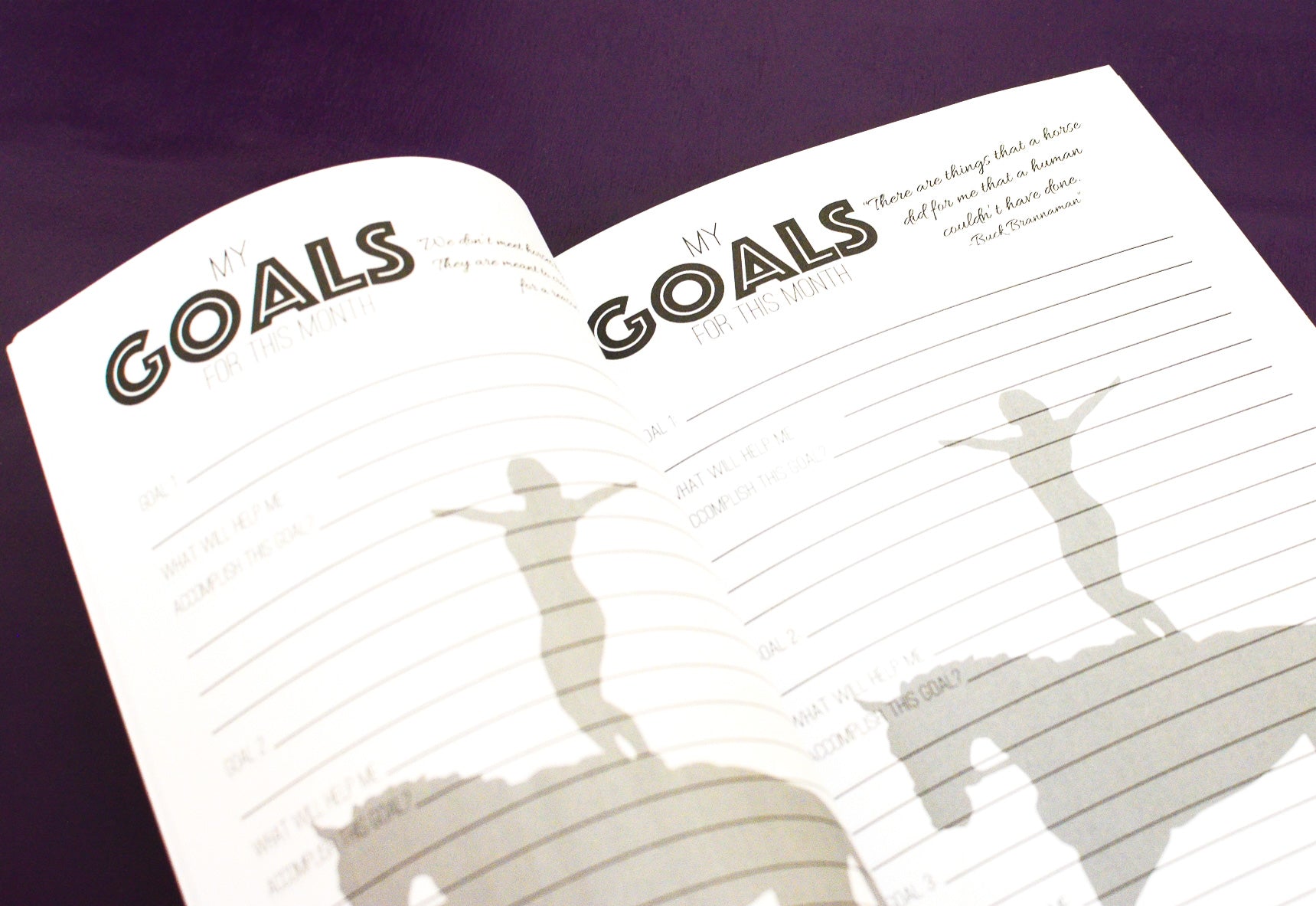The Horseman's Journal