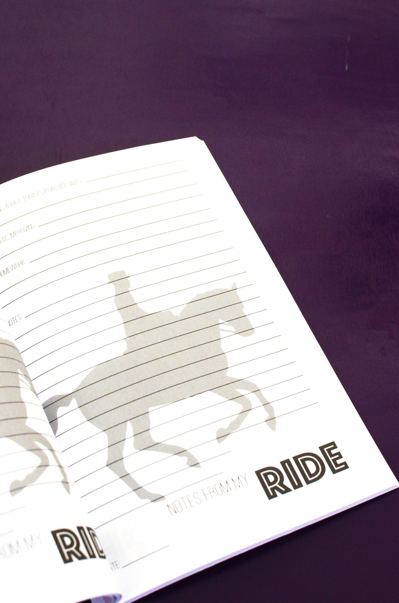 The Horseman's Journal
