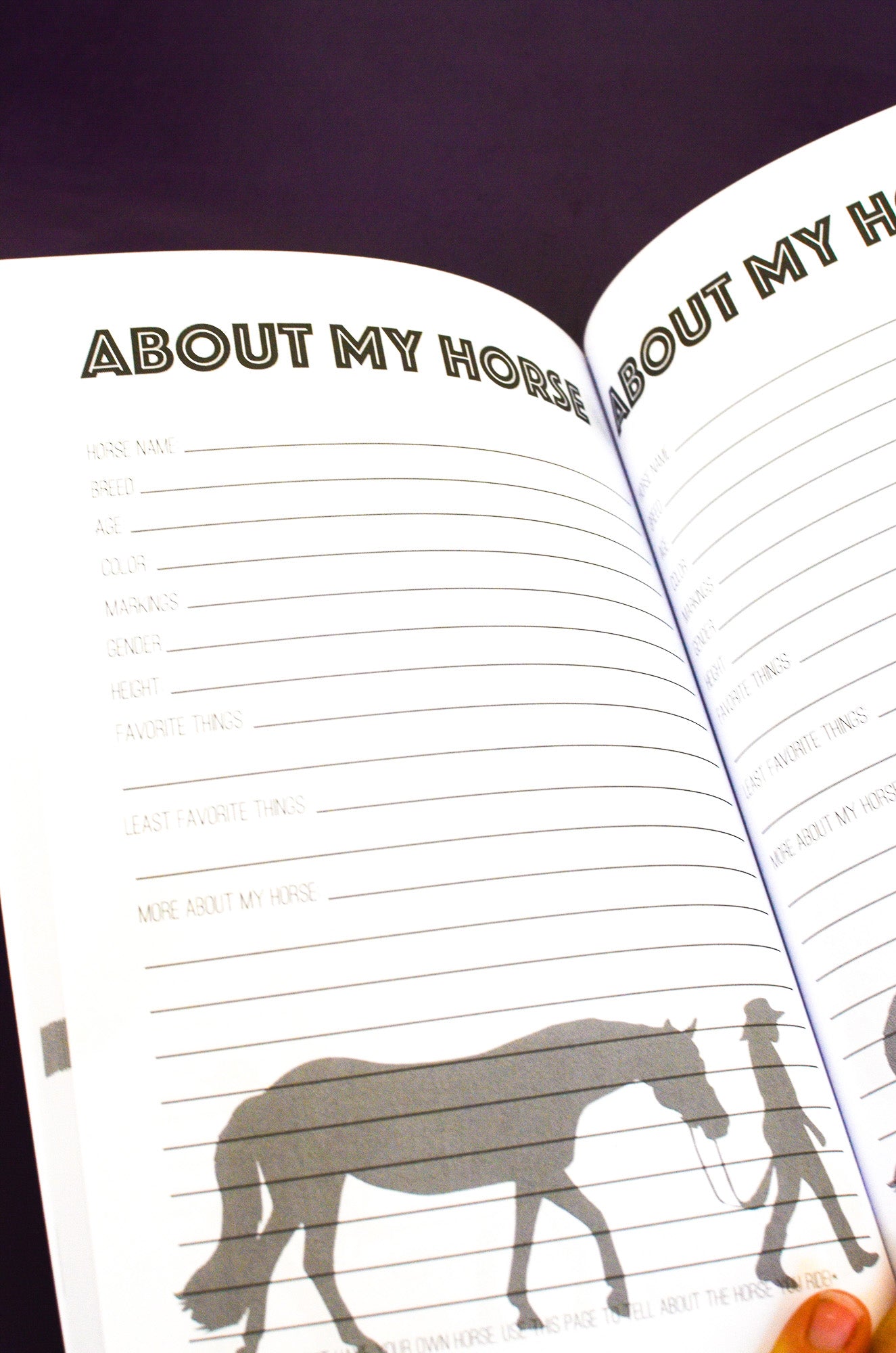 The Horseman's Journal