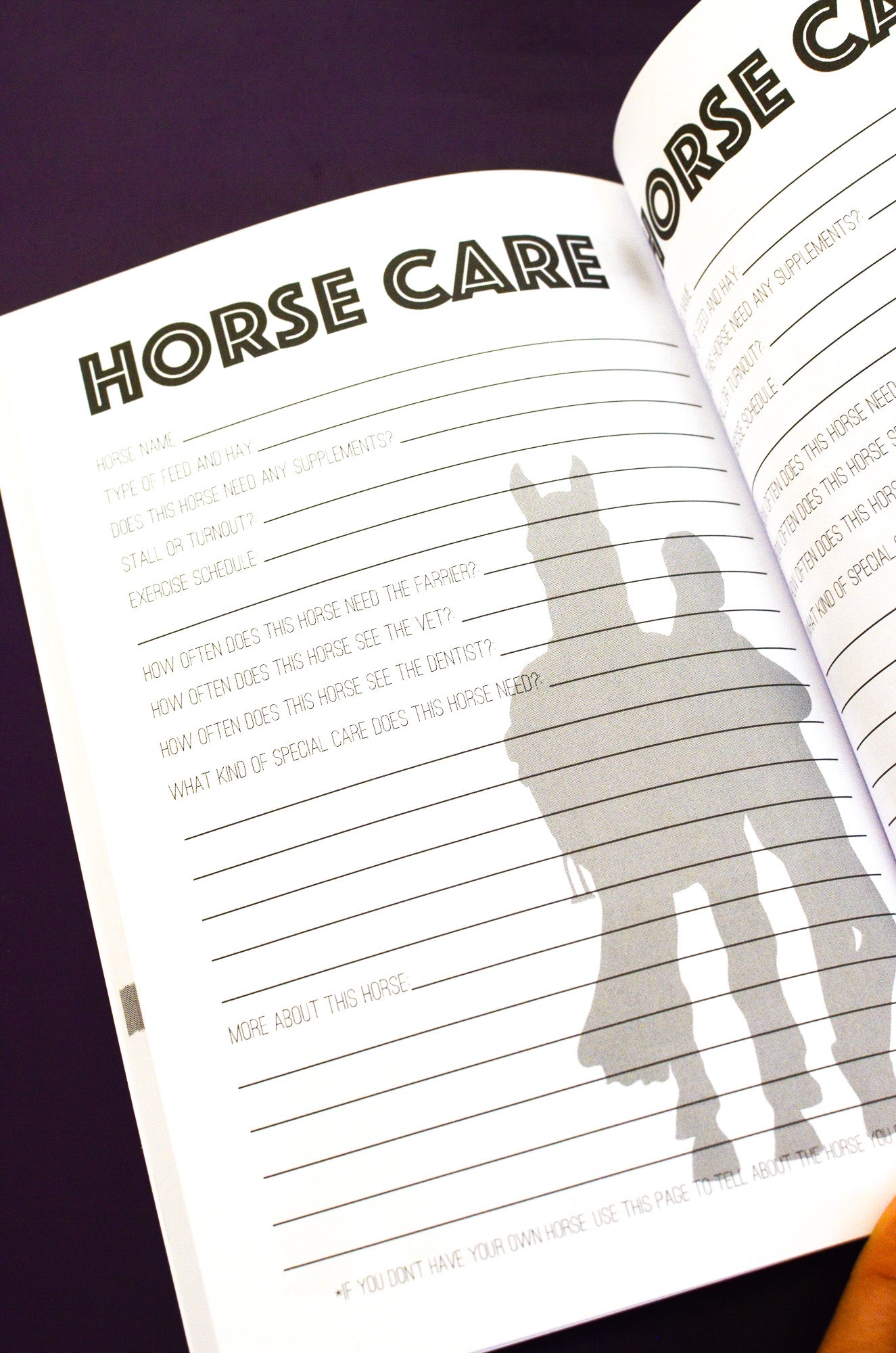 The Horseman's Journal