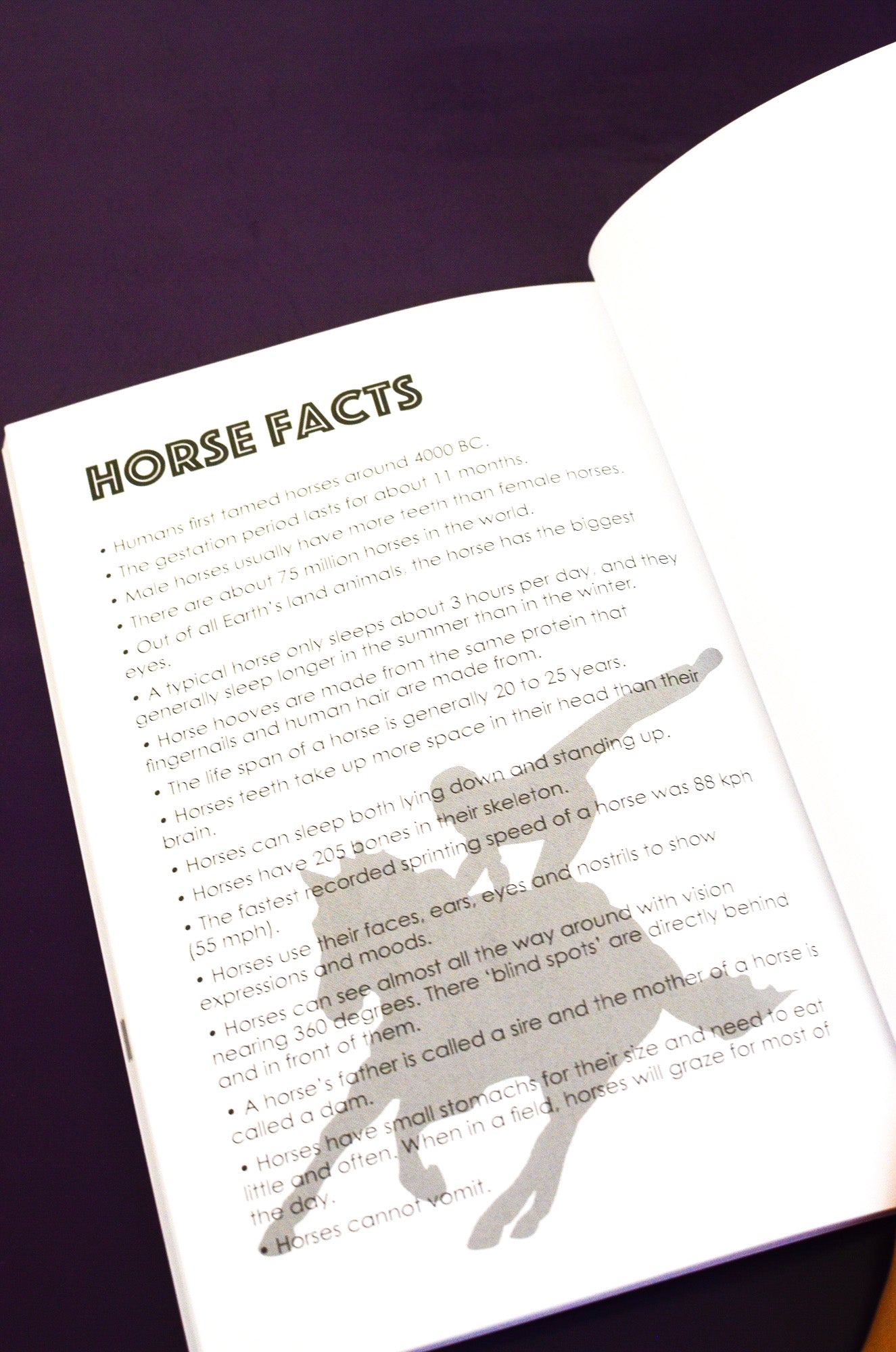 The Horseman's Journal
