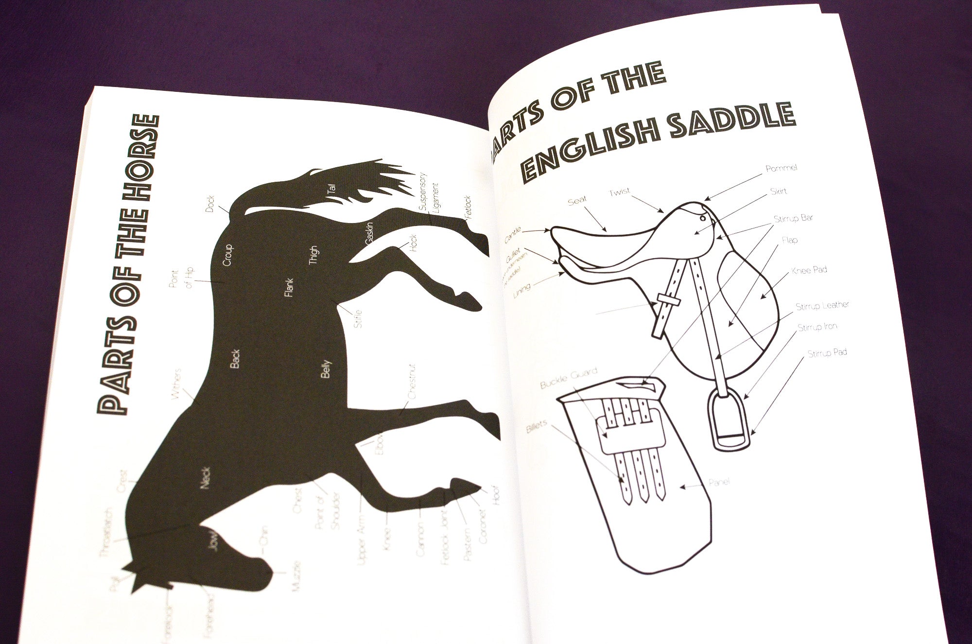 The Horseman's Journal