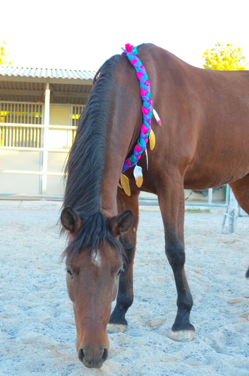 Feather Neck Wreath