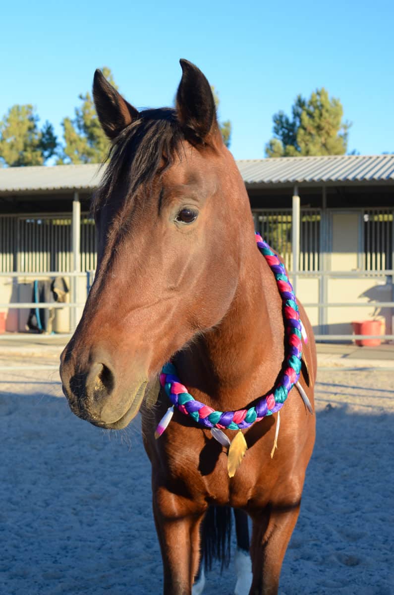 Feather Neck Wreath