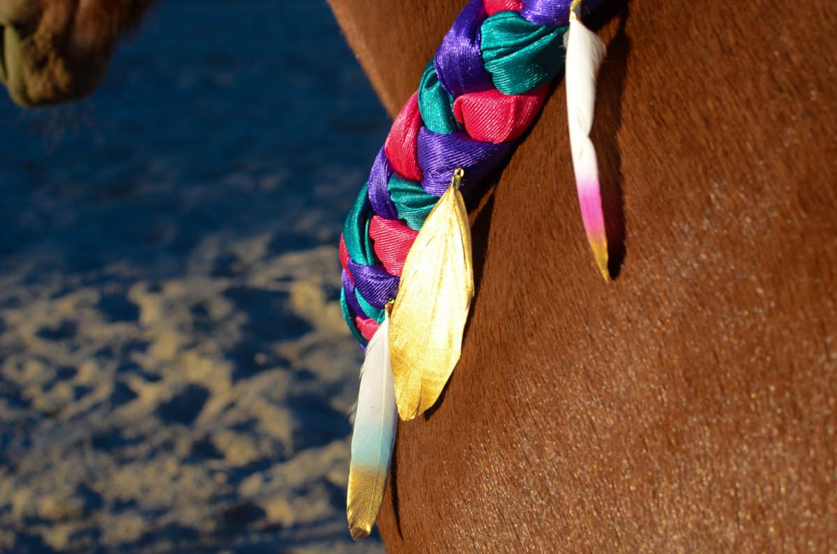 Feather Neck Wreath