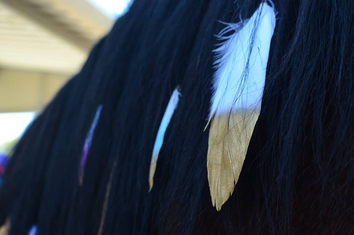 Mane Feathers