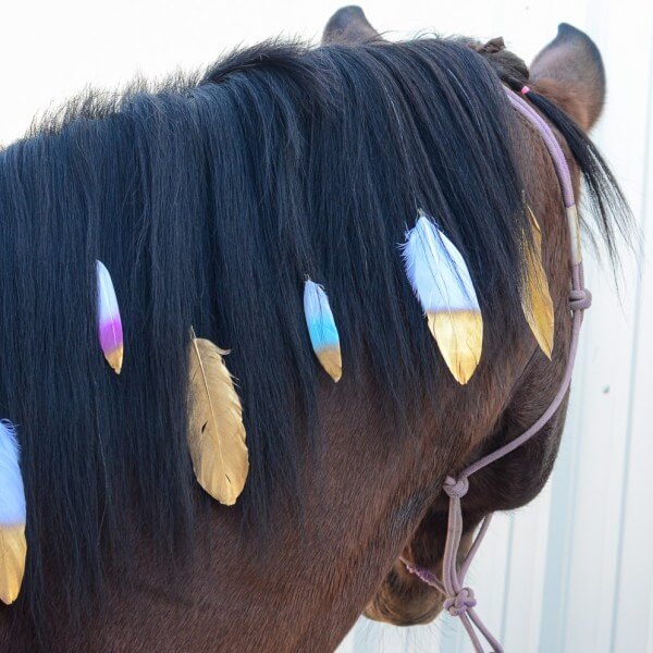 Mane Feathers