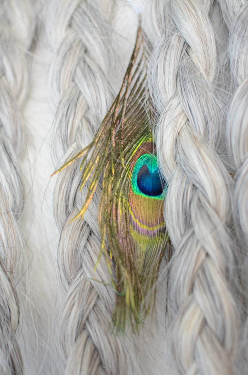 Mane Feathers