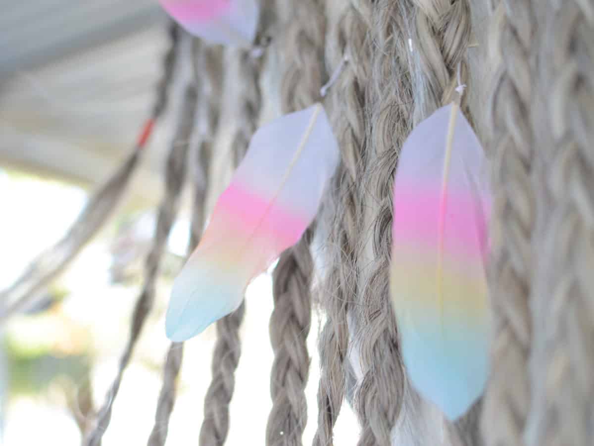 Mane Feathers