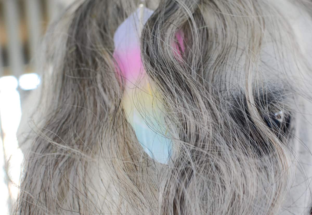 Mane Feathers